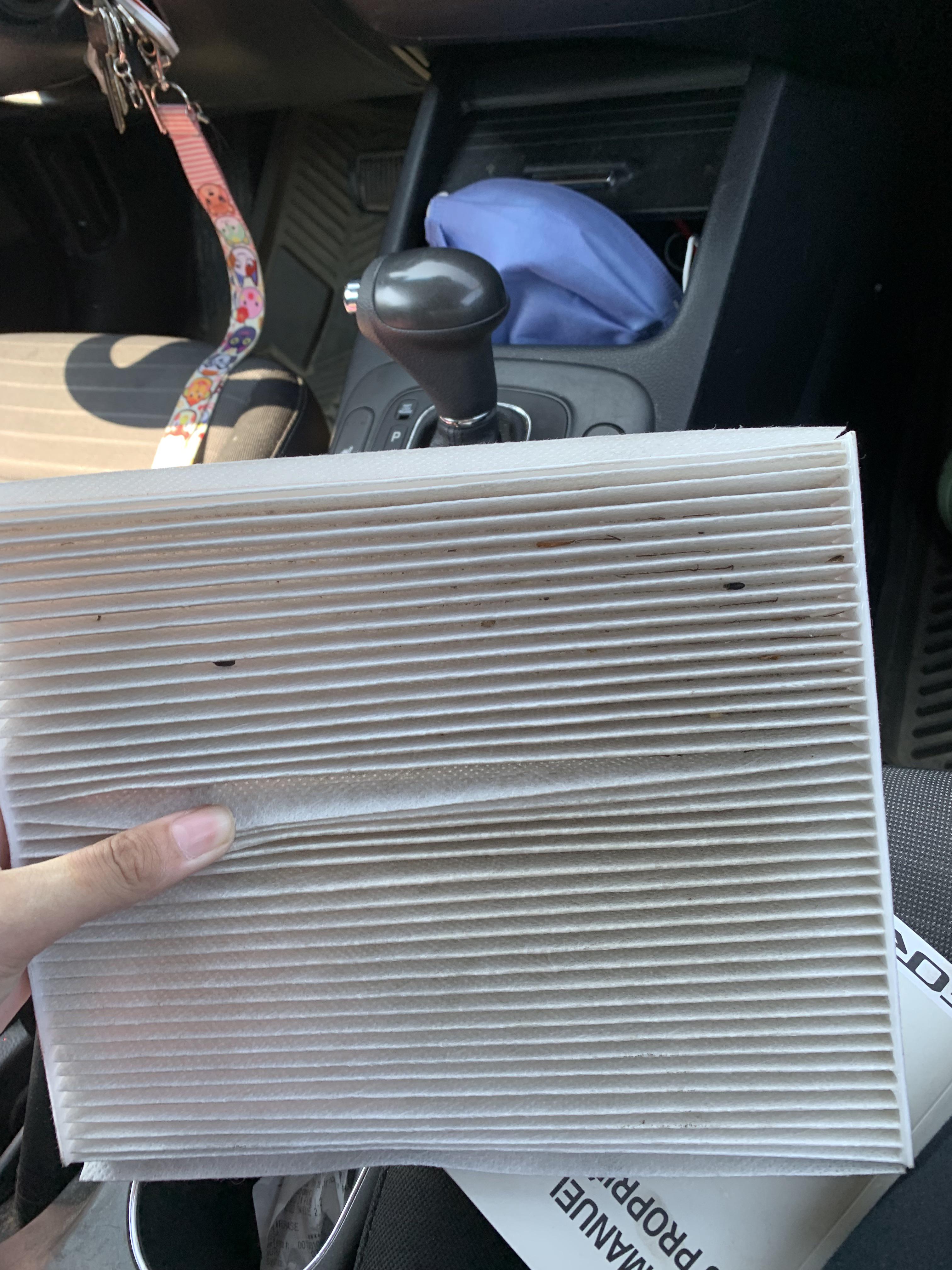 Anyone deal with mouse poop in cabin air filter? I put 35,000km on my