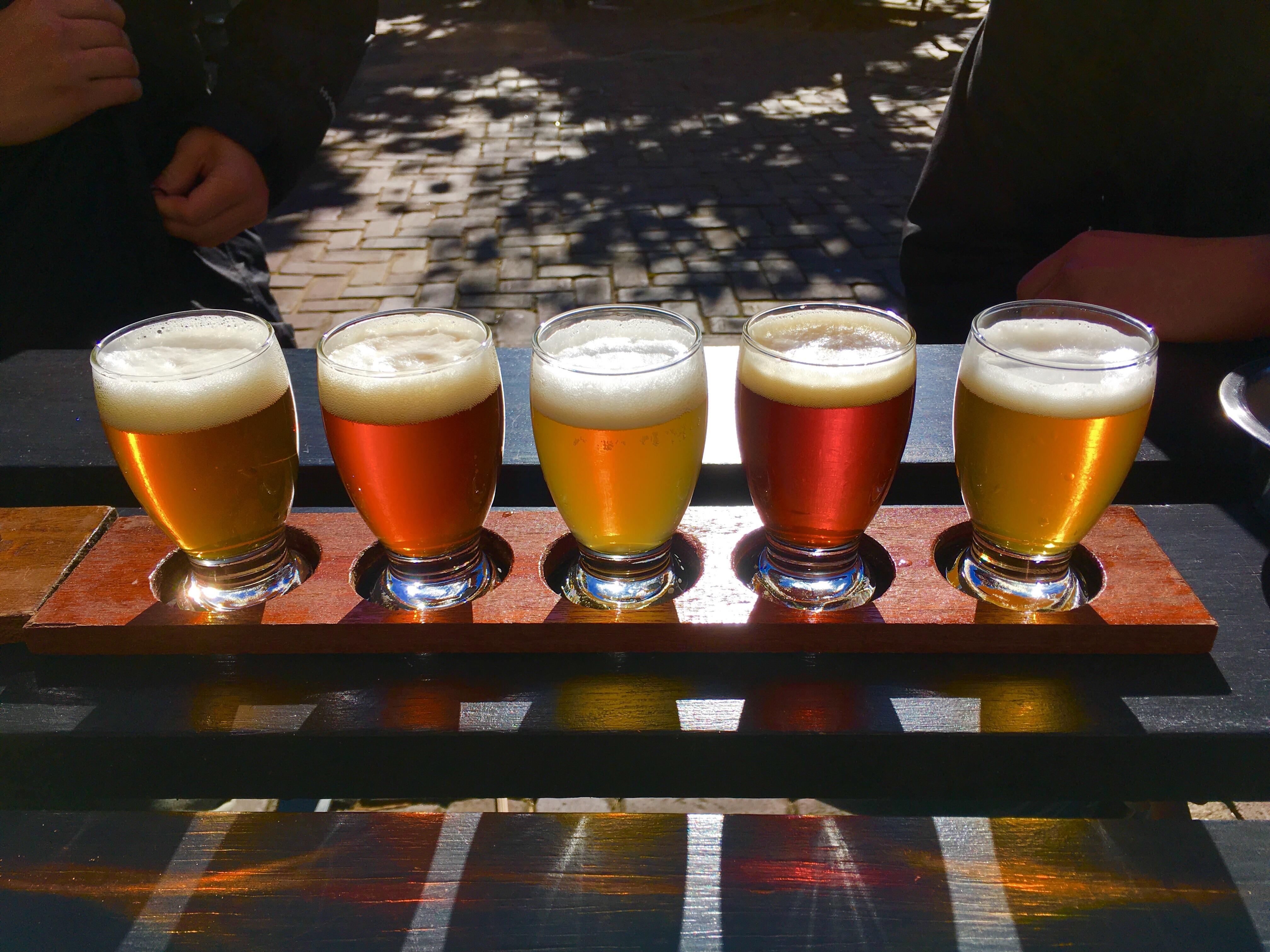 Beers I tried at Brouwerij 't IJ in Amsterdam r/beerporn