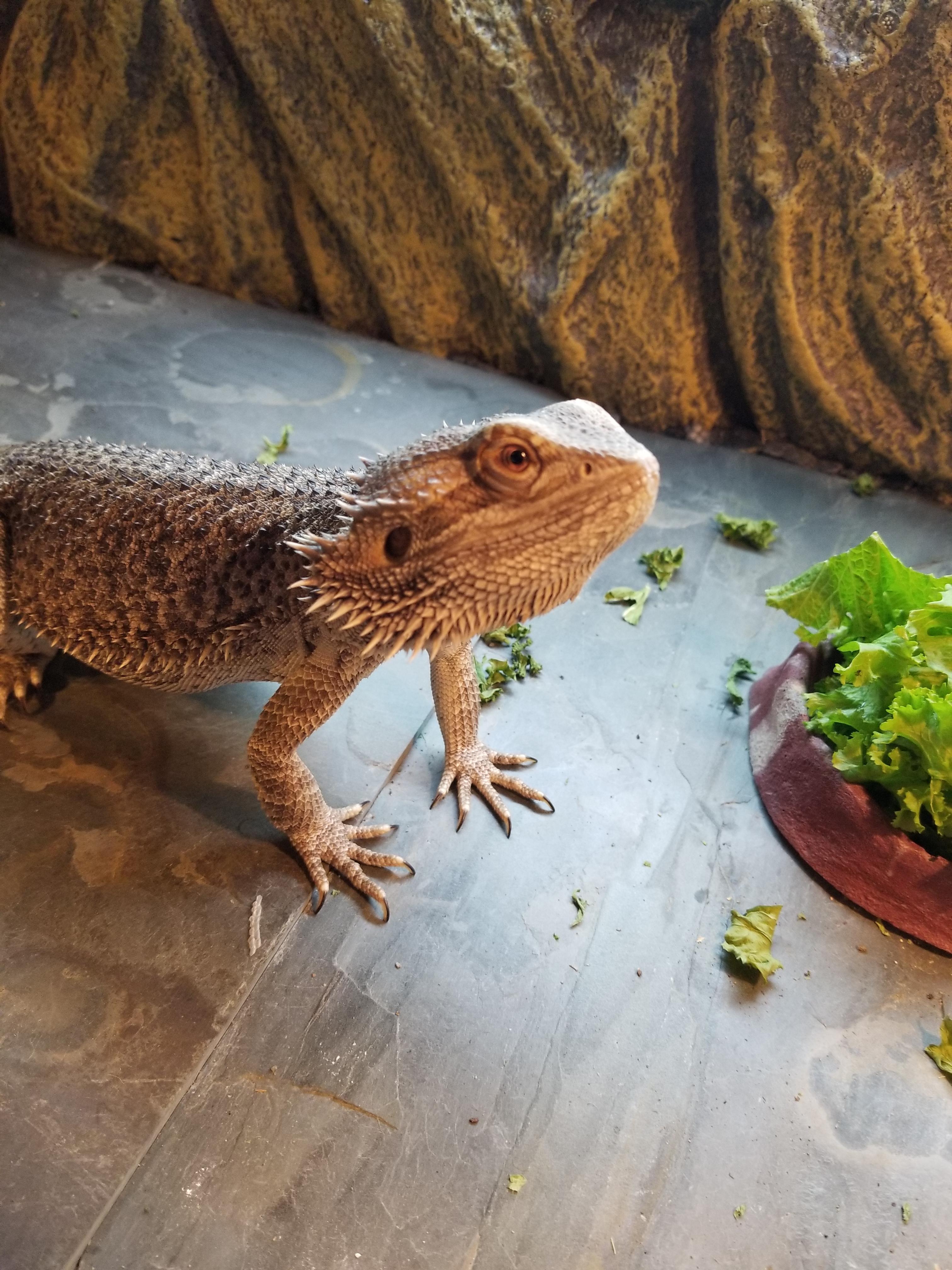 Today I lost my little man on the street. My wife and I spent