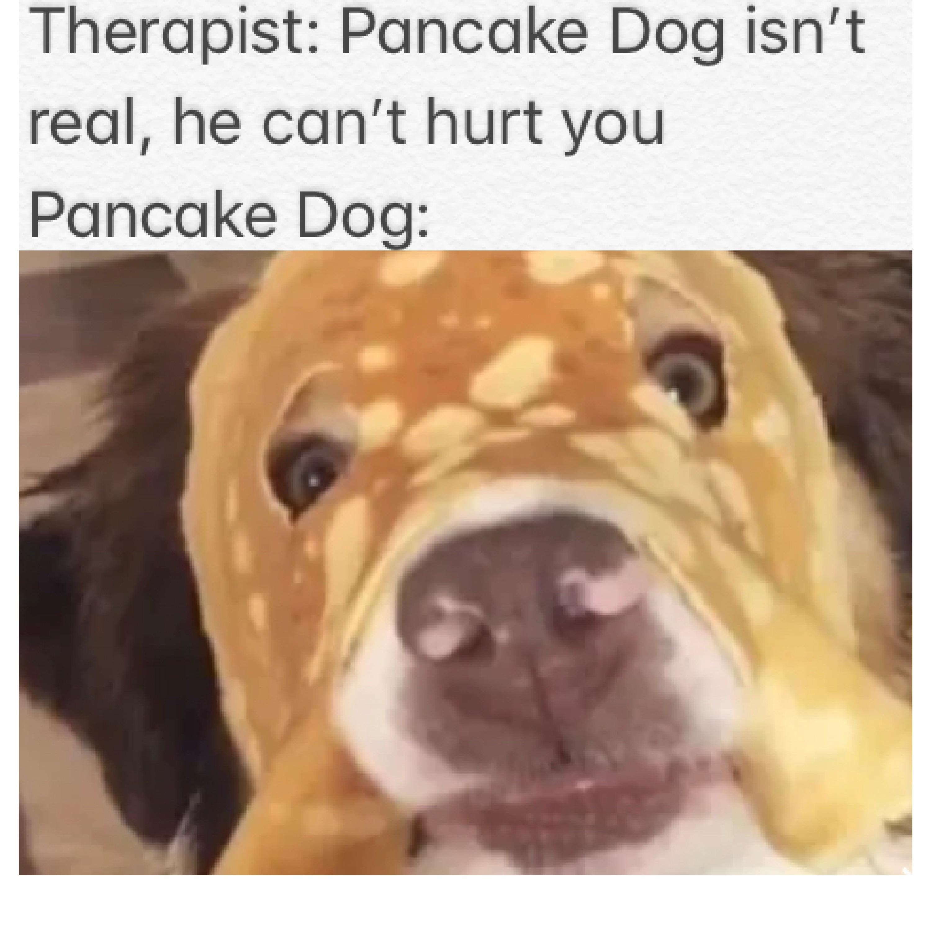 Pancake dog r/memes