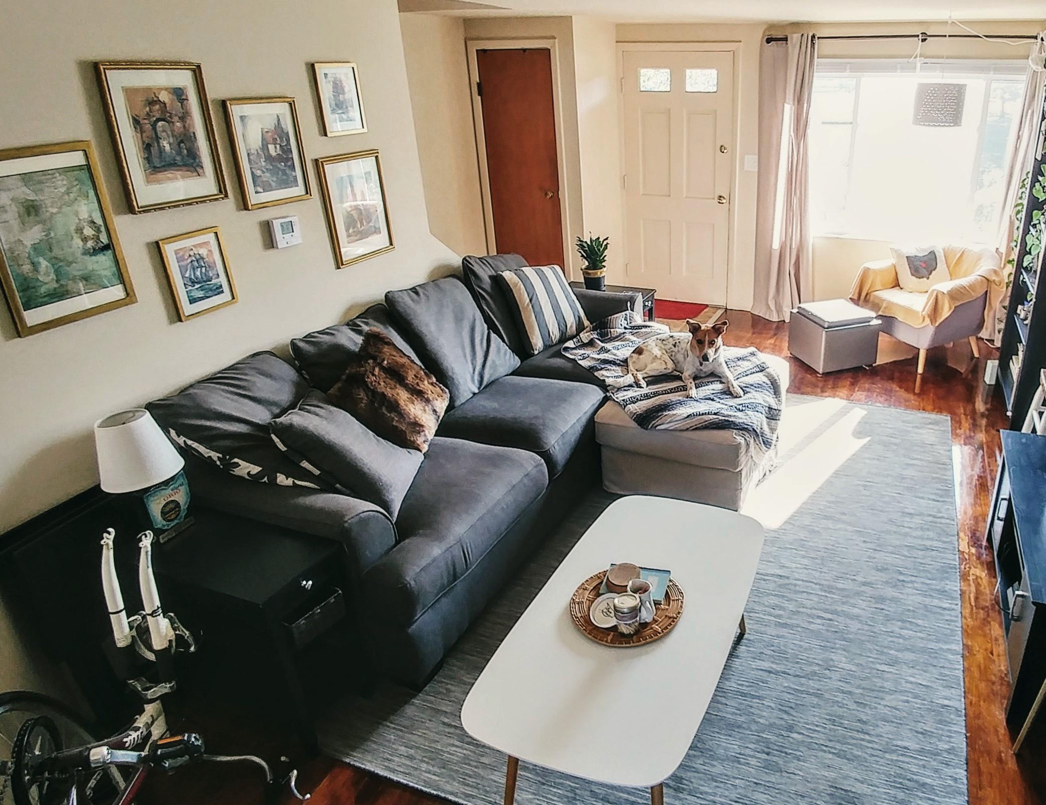 My little living room in Columbus, Ohio r/AmateurRoomPorn