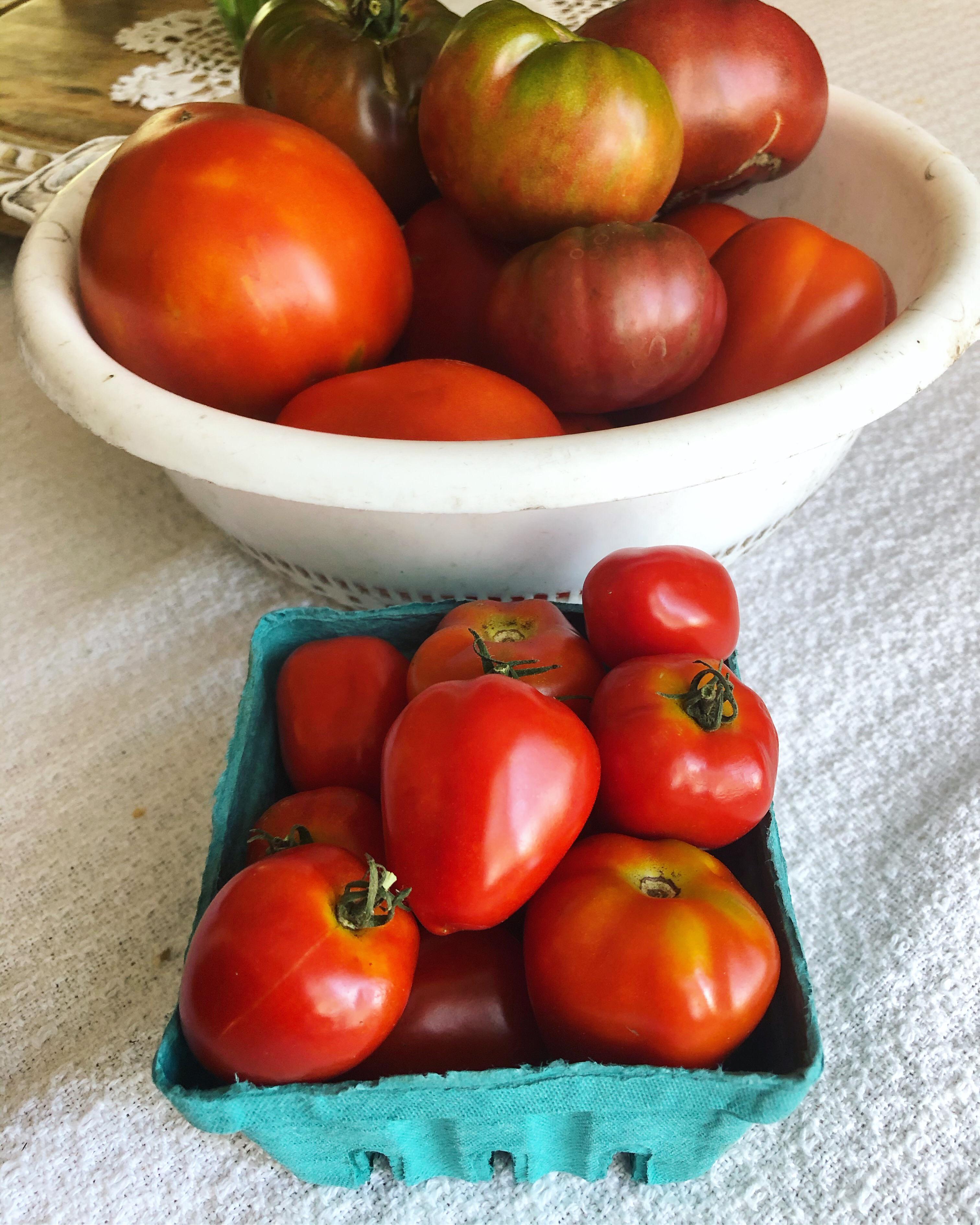 Tomato season has finally arrived! Tomatoberry, Brandy Boy, Big Mama
