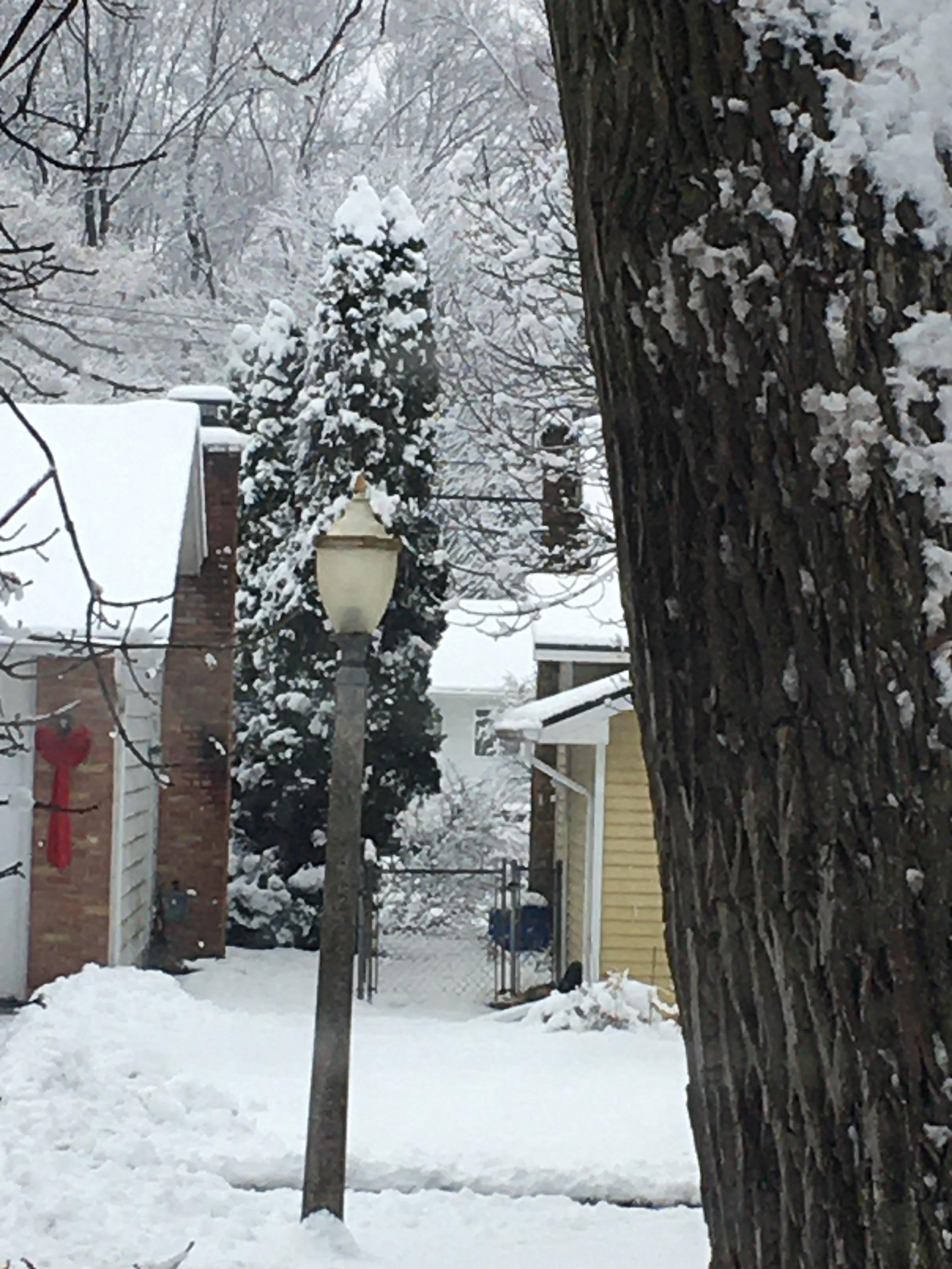 Colonial village neighborhood, Lansing, Boston Boulevard between Quincy