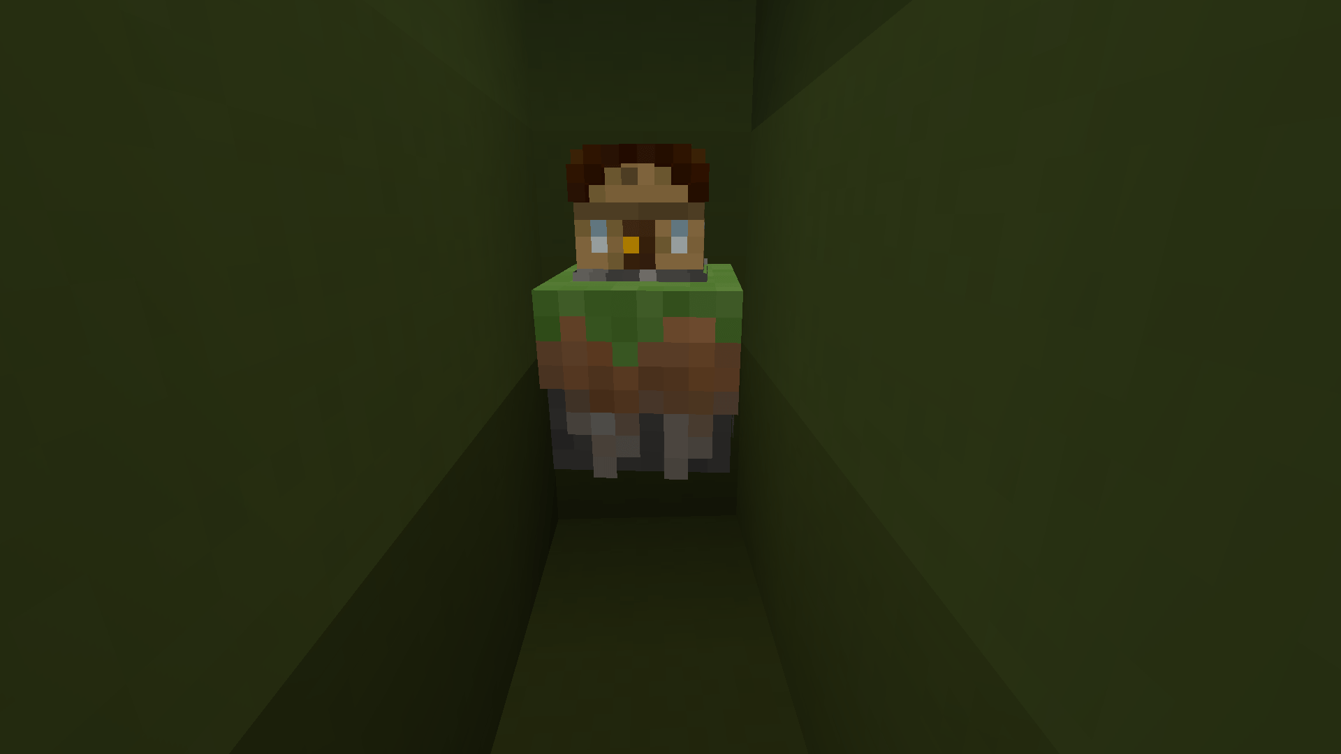 made this with armor stands and vanilla tweaks armor statues datapack