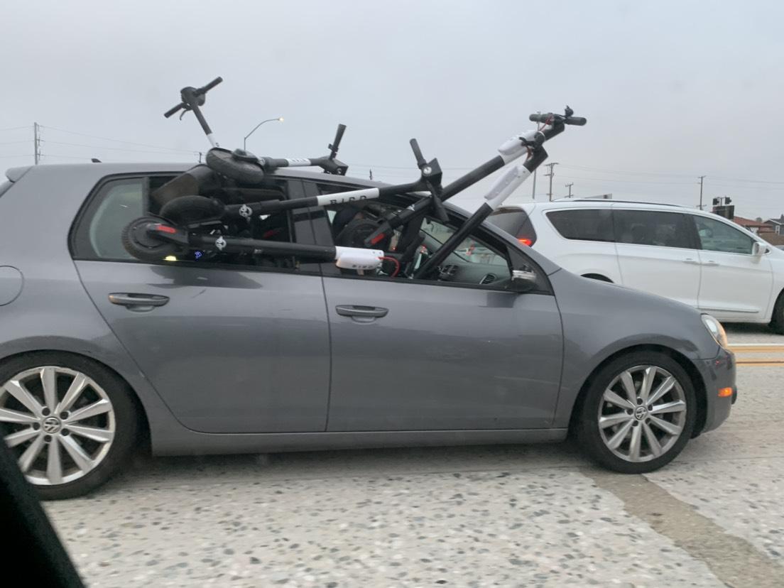 Saw this man driving with a bird nest in his car. r/IdiotsInCars