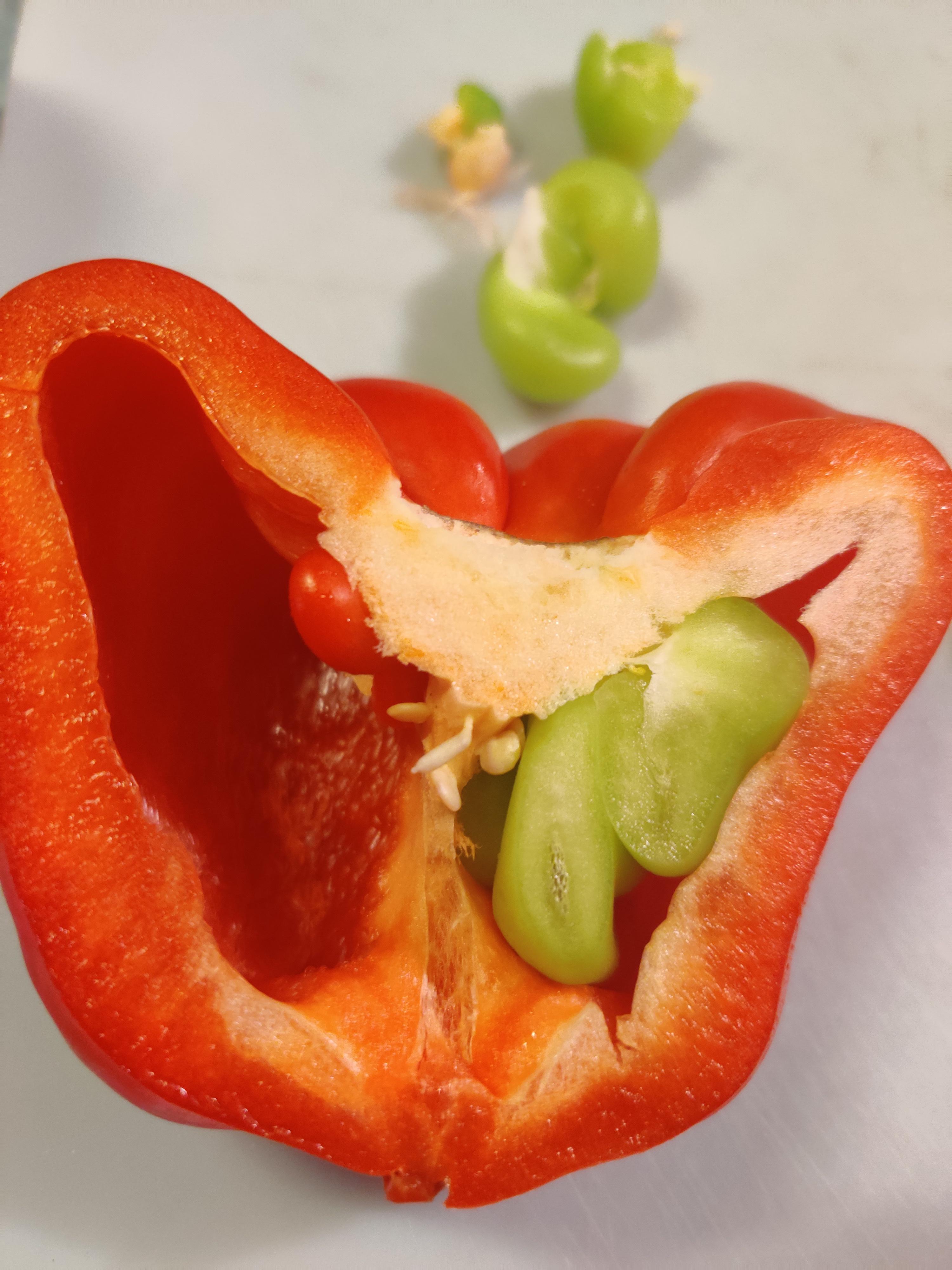My red pepper, had a green pepper growing inside of it. r
