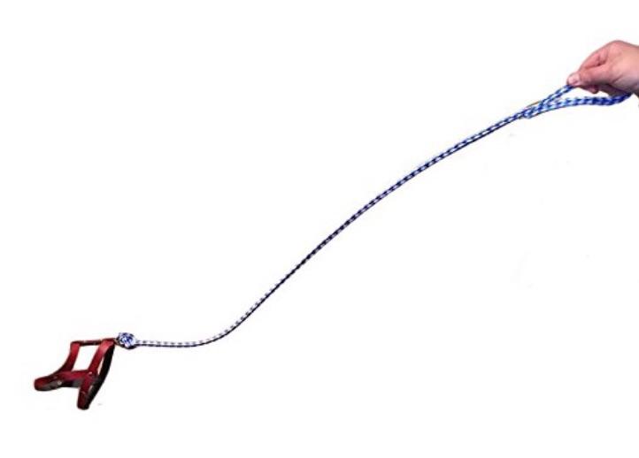 This invisible dog leash r/nostalgia