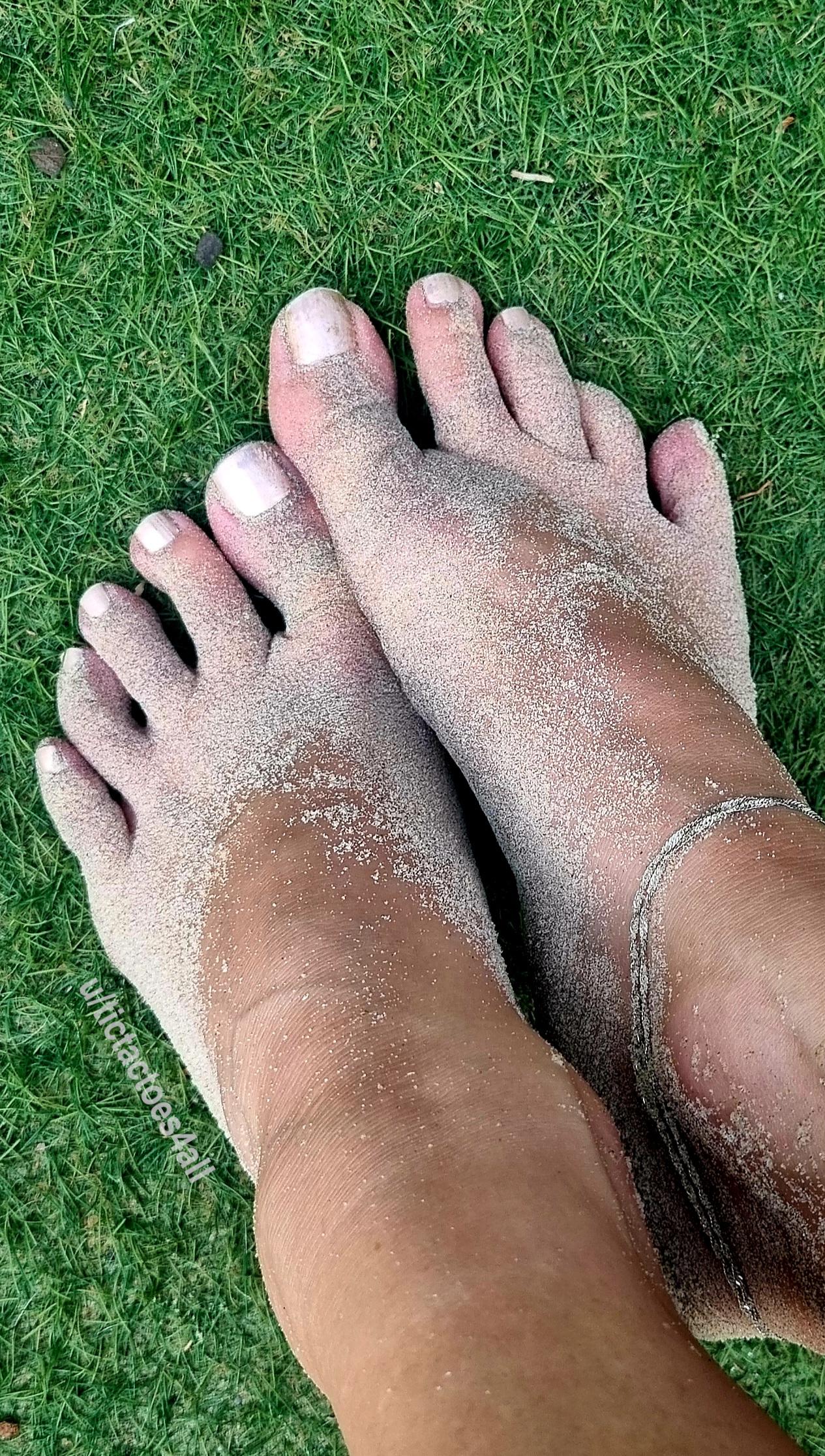 This is what my feet look like every morning after my walk on the beach