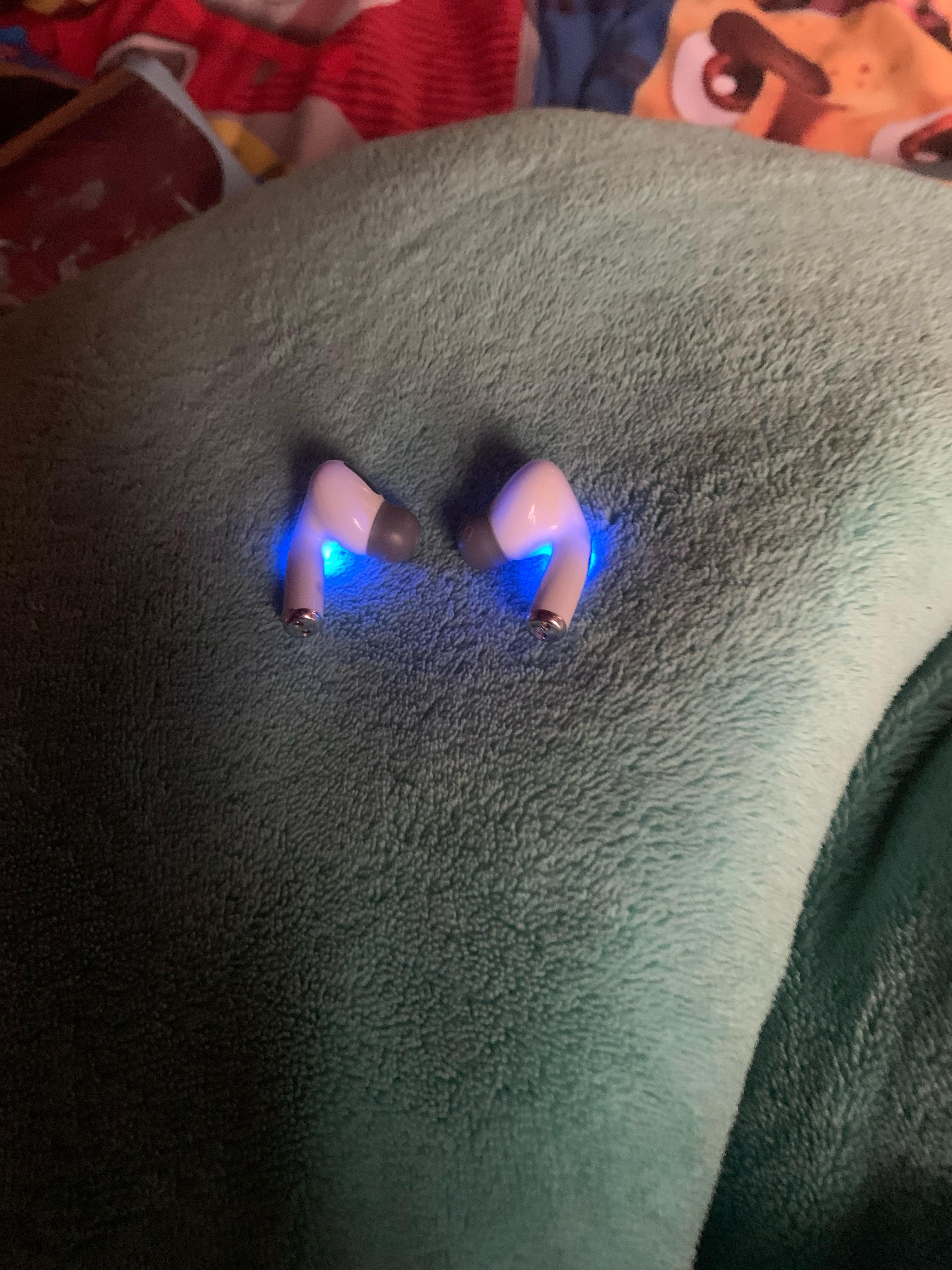 Blue flower red thorns r/oddlyterrifying