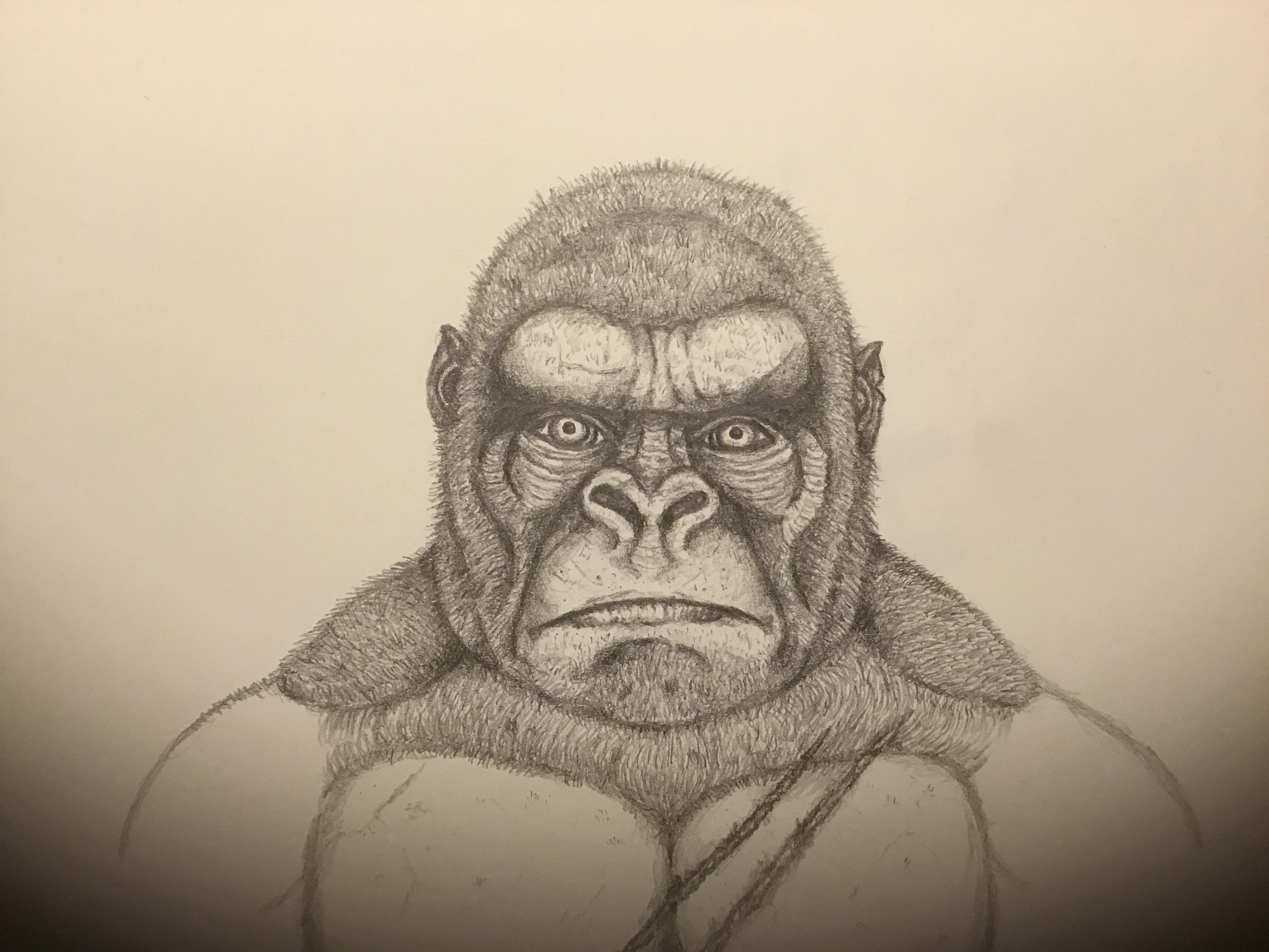 Tried to draw a gorilla 😅 r/drawing
