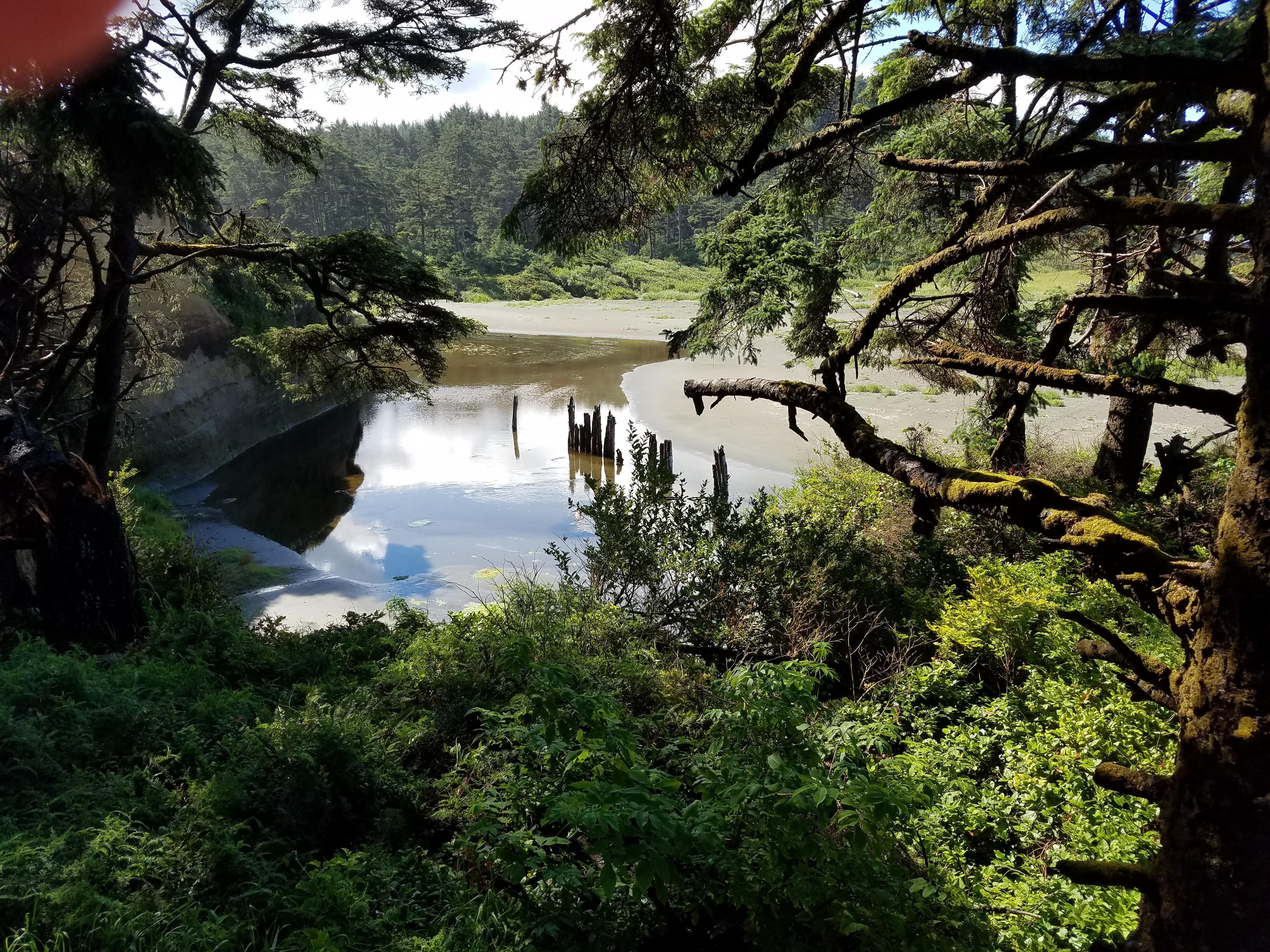 Up a lazy river, Iron Springs, WA [OC] [4032x3024] r/EarthPorn