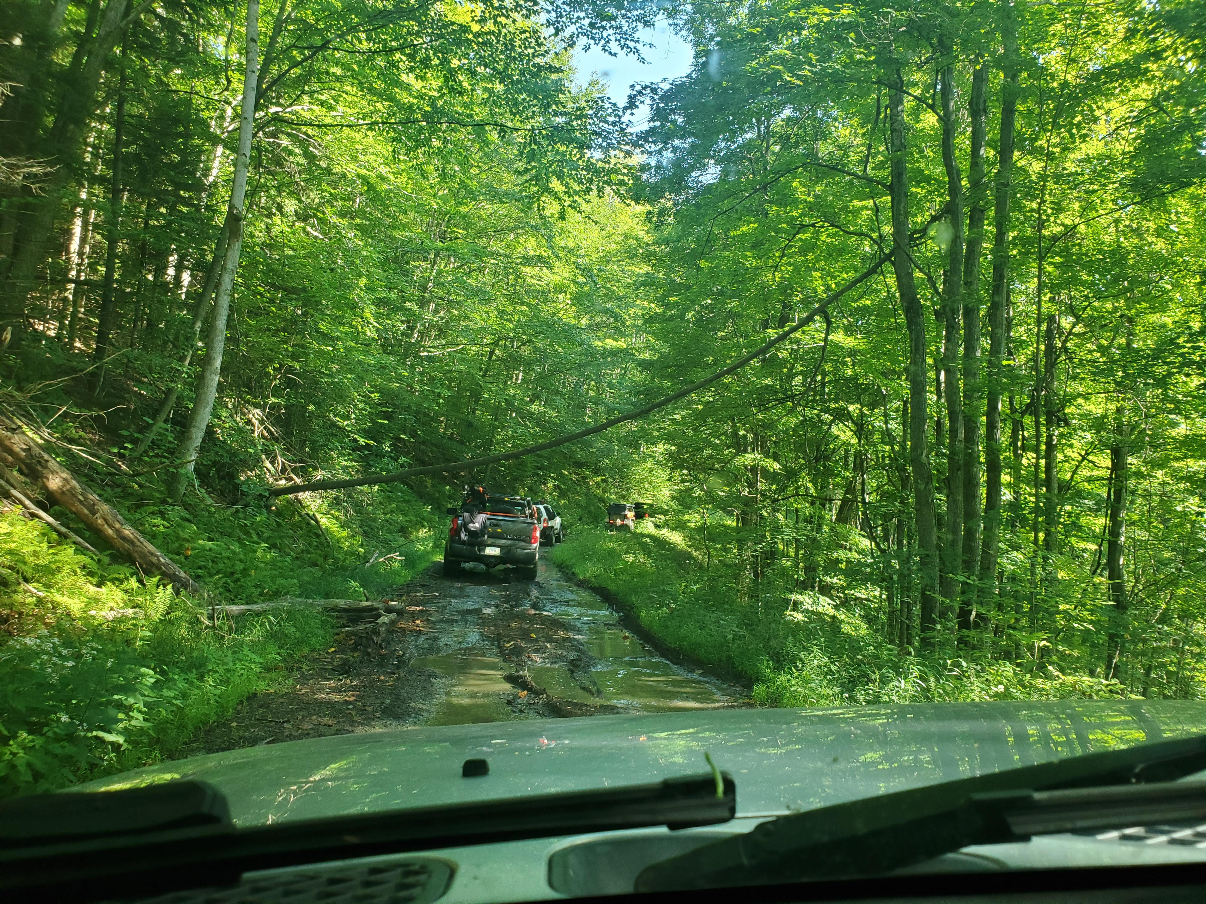 Forest Road 18, West Virginia [Unmaintained Road 4x4, Lift, 31" tires