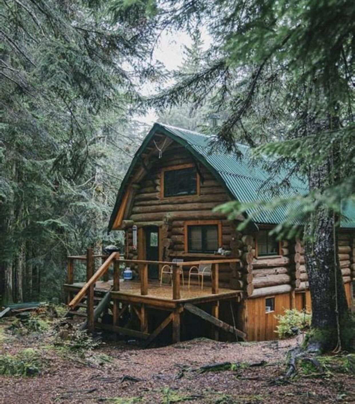 Beautiful log cabin ashville nc r/CozyPlaces