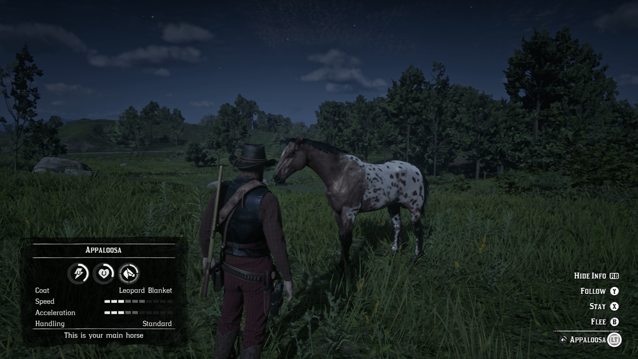 Found this leopard blanket appaloosa..is this a common coat to come