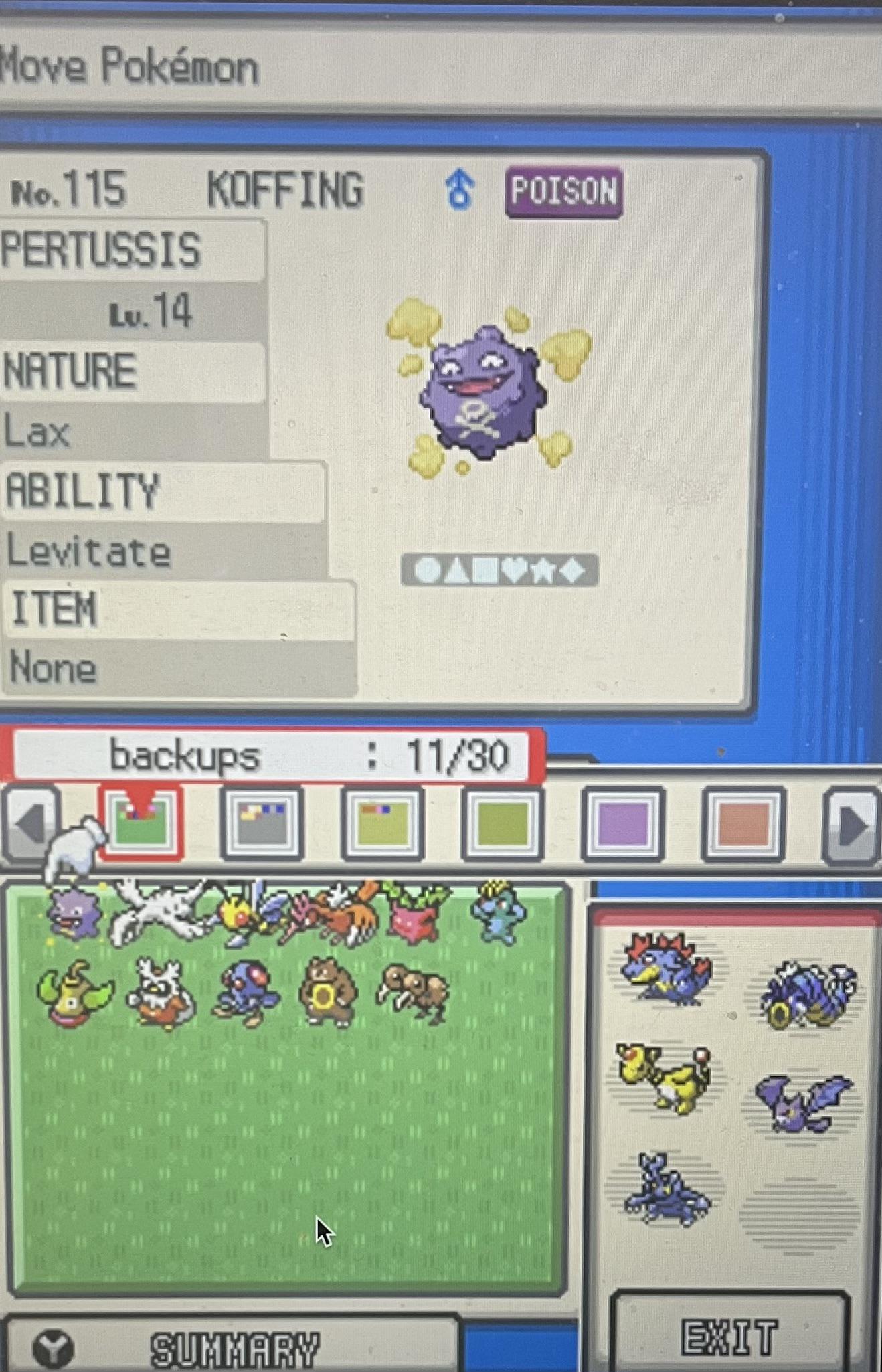 soulsilver nuzlocke who should i add to my team for the elite four? (i