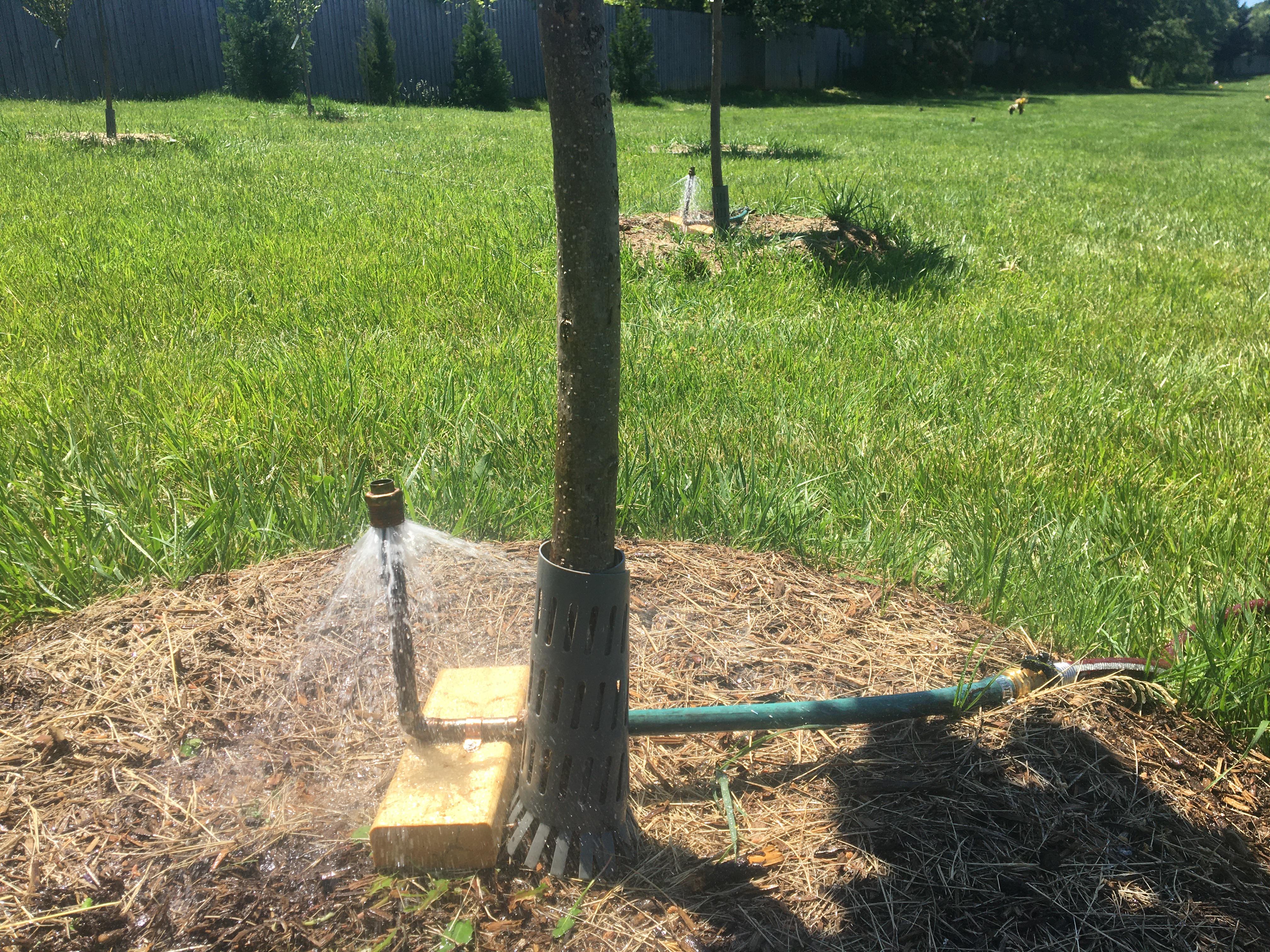 I made some single tree sprinklers that are easy to move around so I