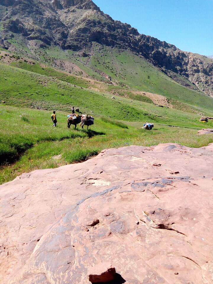 Trekking in Morocco r/Outdoors