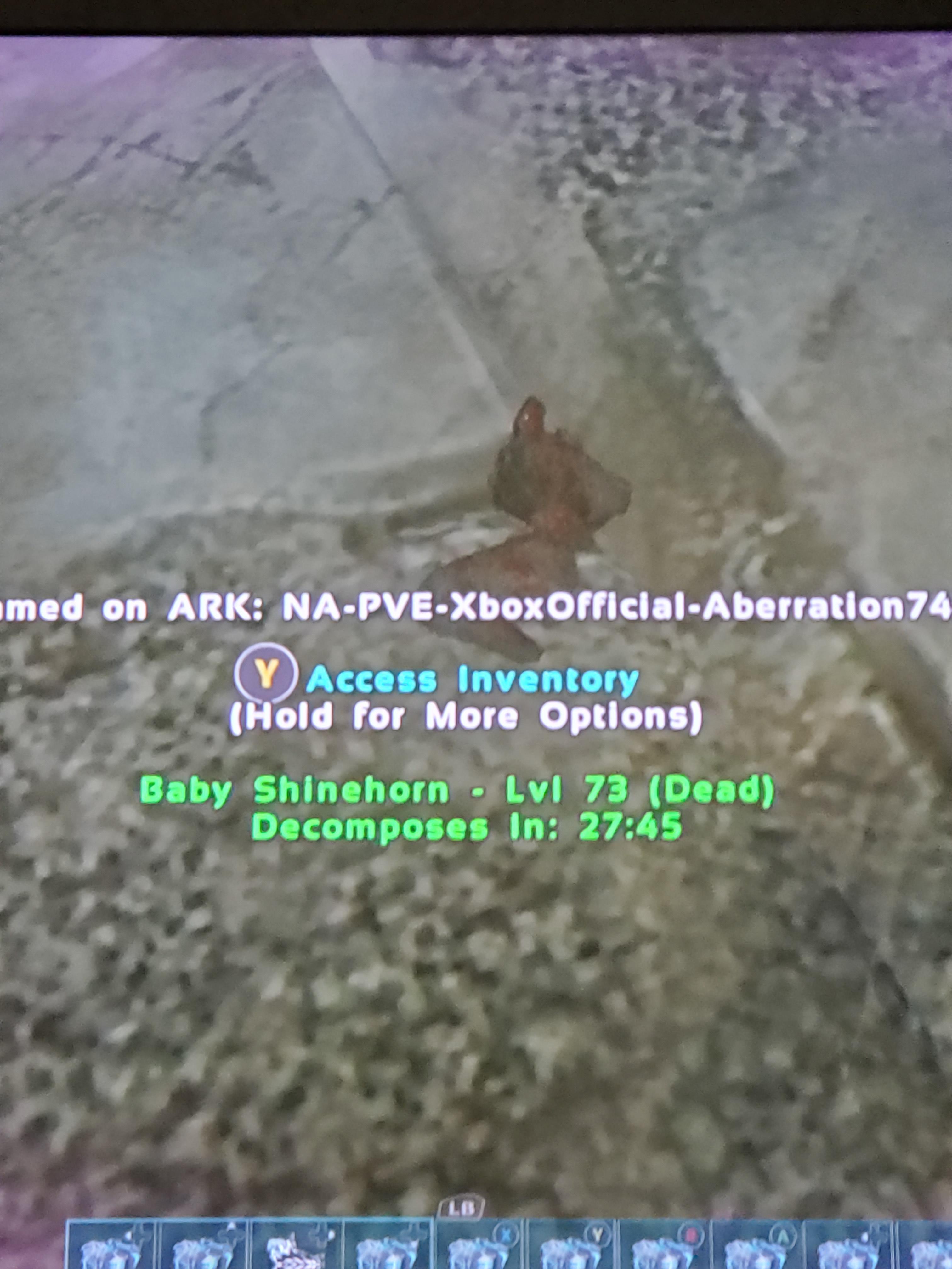 Not the shinehorn he was to young😭 r/ARK