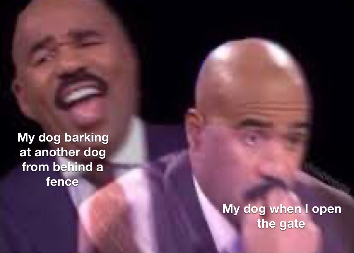She’s all bark no bite dankmemes