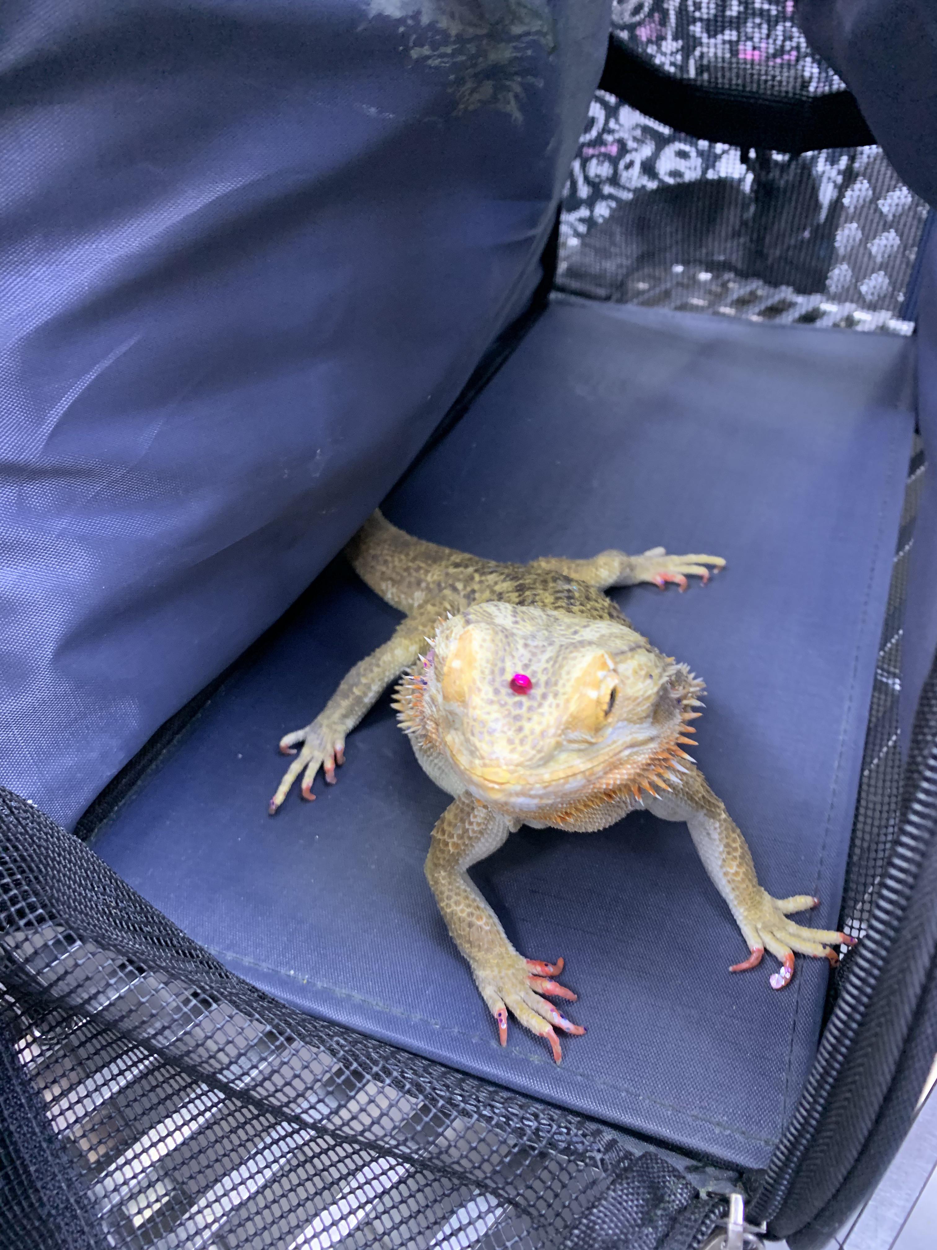 Pink nail polish, glitter և larger gemstones