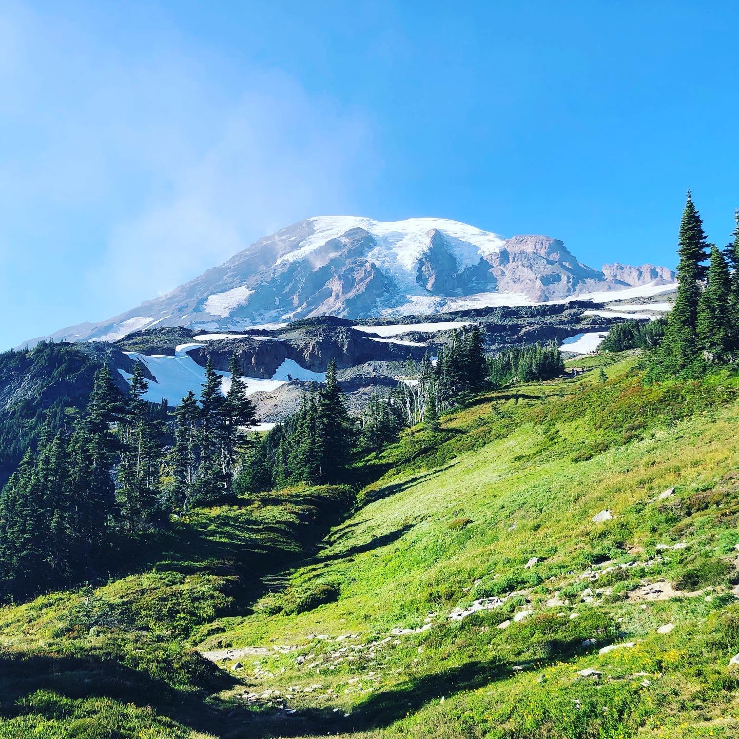 Along the Skyline Trail Mt Rainier, WA [OC] [1440x1440] r/EarthPorn