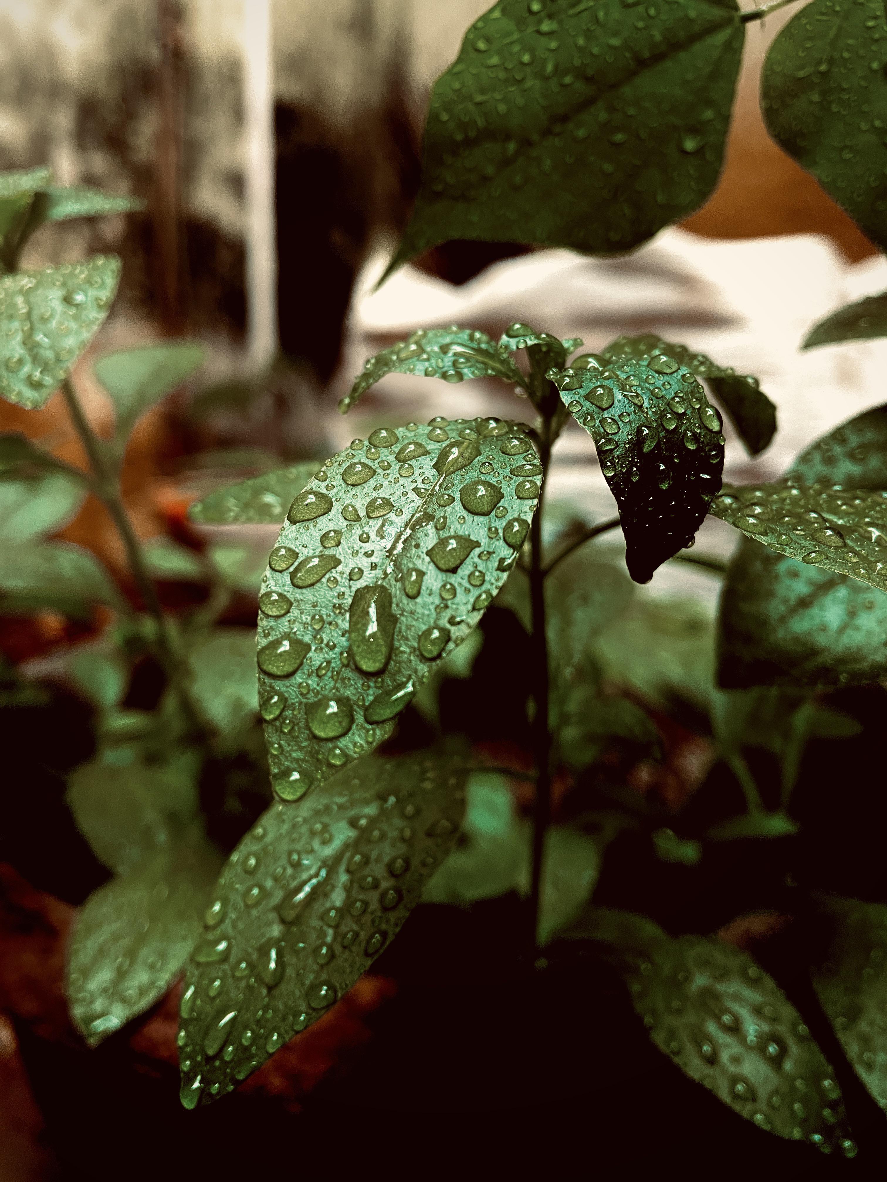 Straight out of my iPhone 12 Mini r/iPhone12Mini