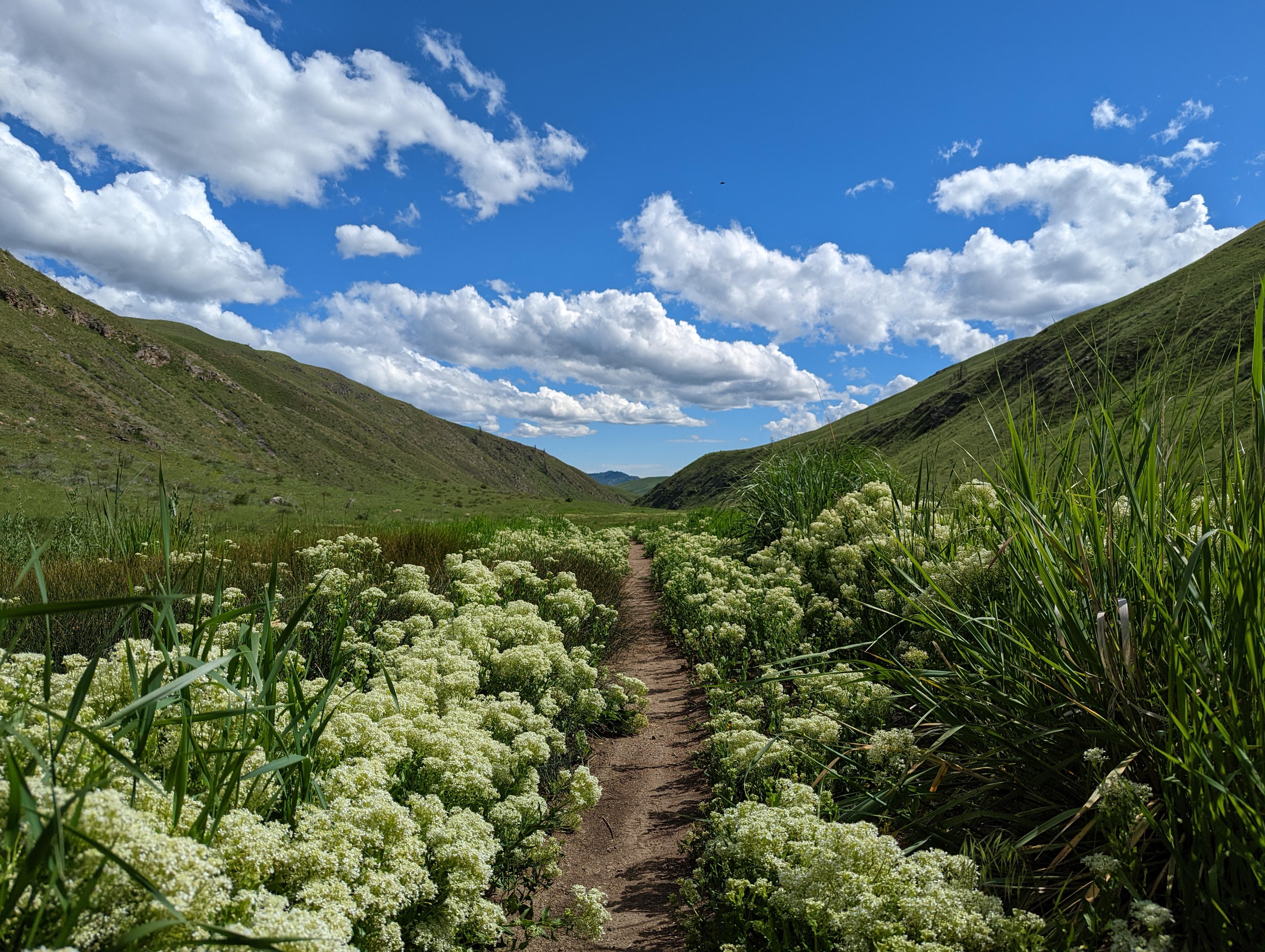 Pipestone Canyon, Methow Valley, WA, USA [OC] [4080x3072] r/EarthPorn