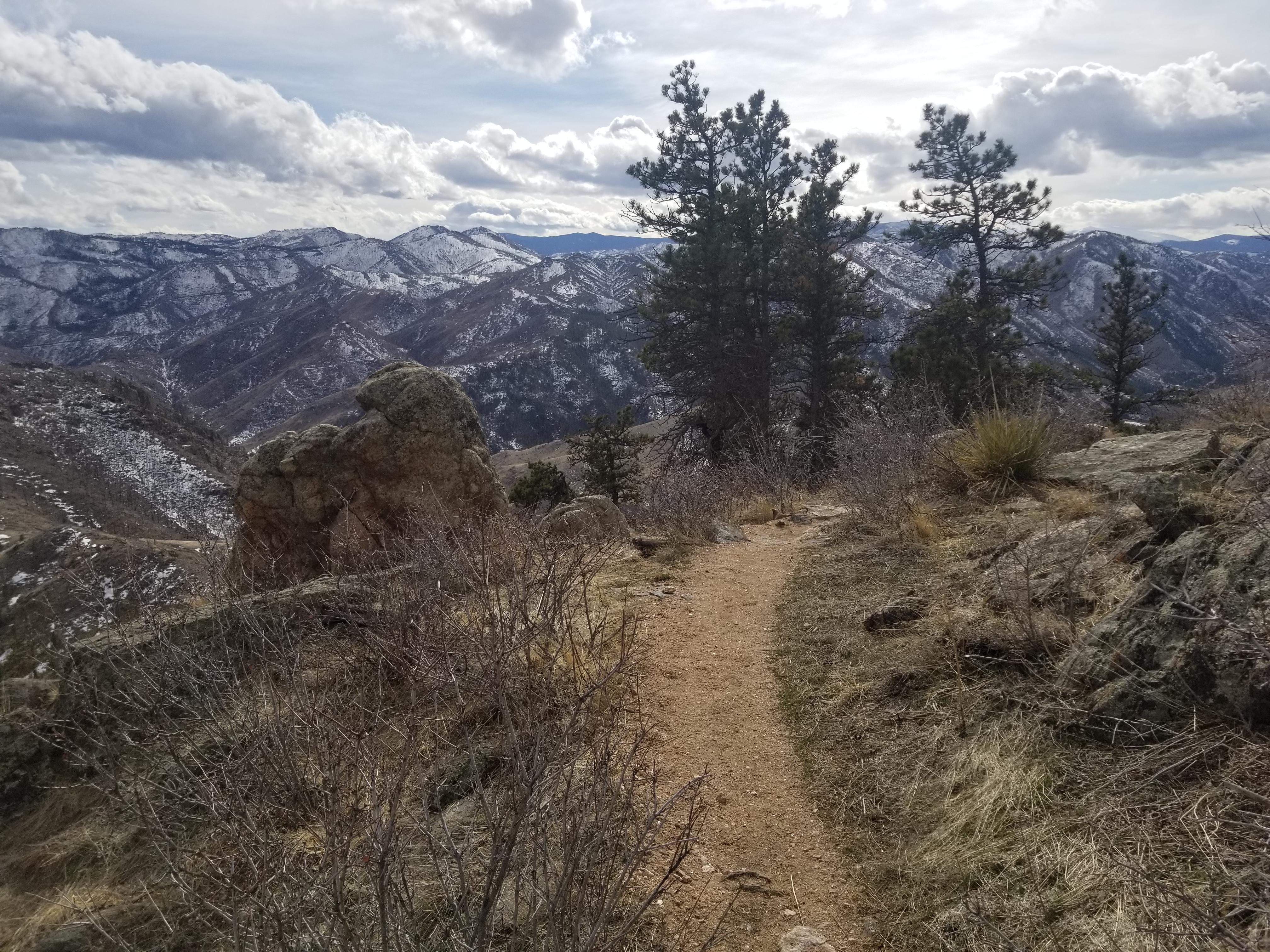 Greyrock Mountain Trail near Fort Collins, Colorado, USA r/hiking