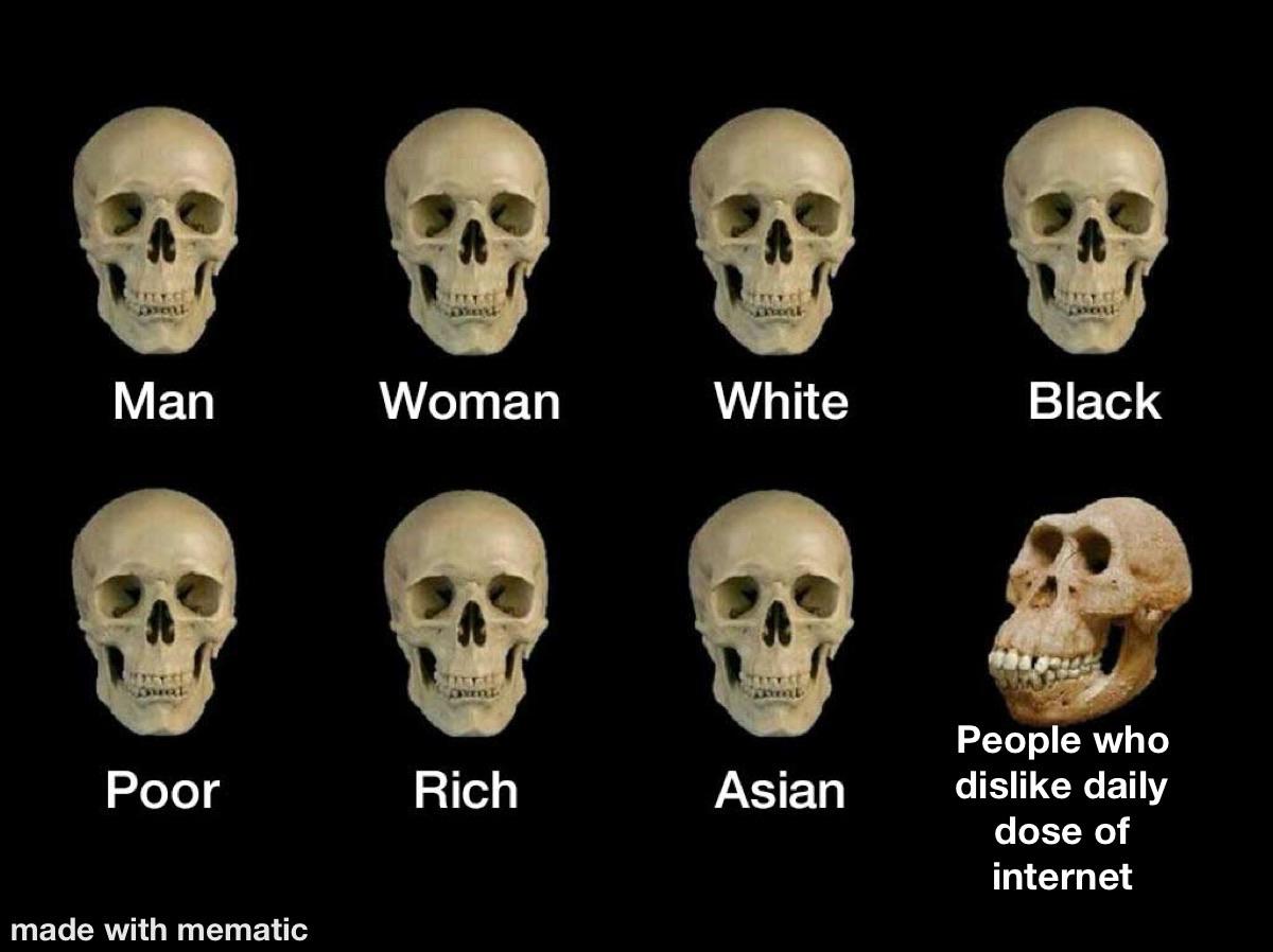 What goes here r/memes