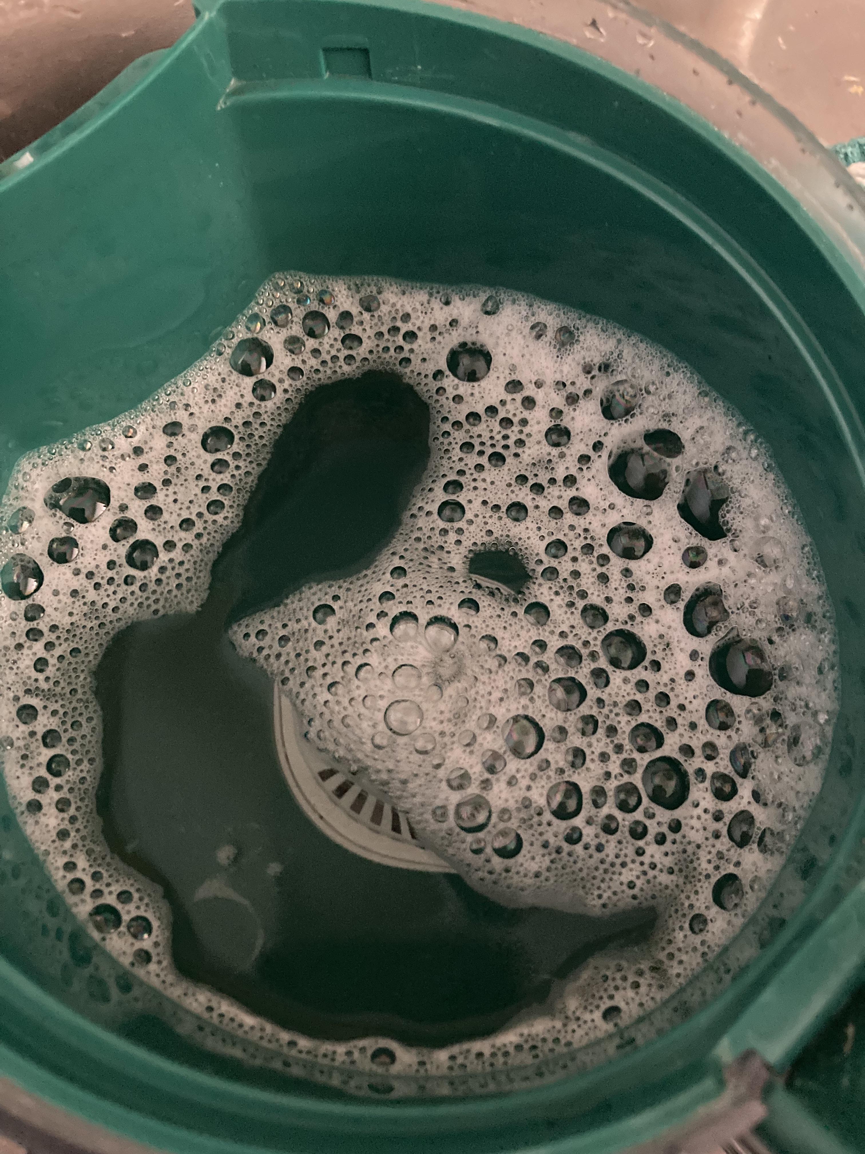 Foamy Tap Water???? Belt line area, only coming from my kitchen taps