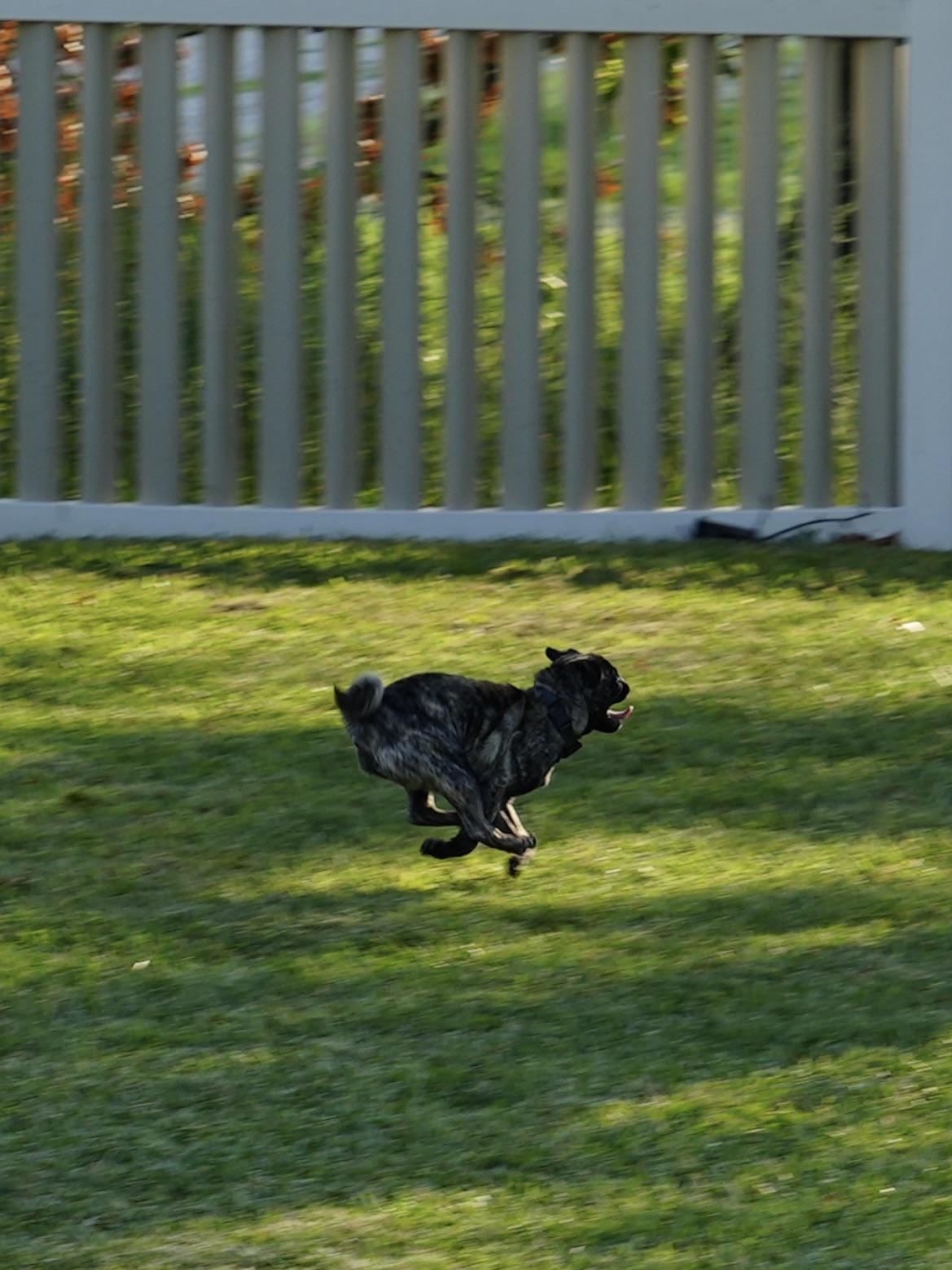 Madeline Meadows (u/maddymeadows) - Reddit