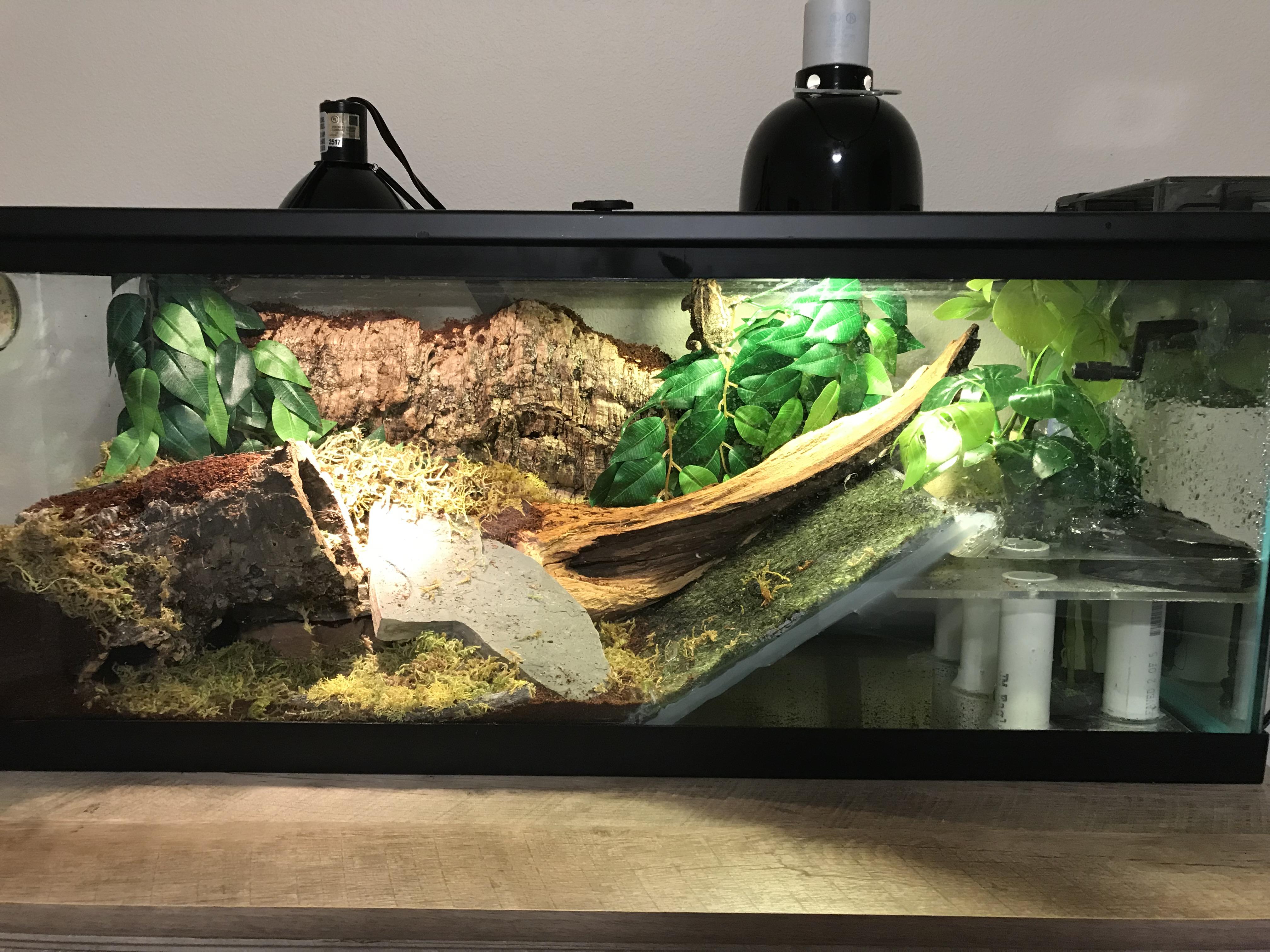 Tank I built for my Gulf Coast toads. I came up with this water system