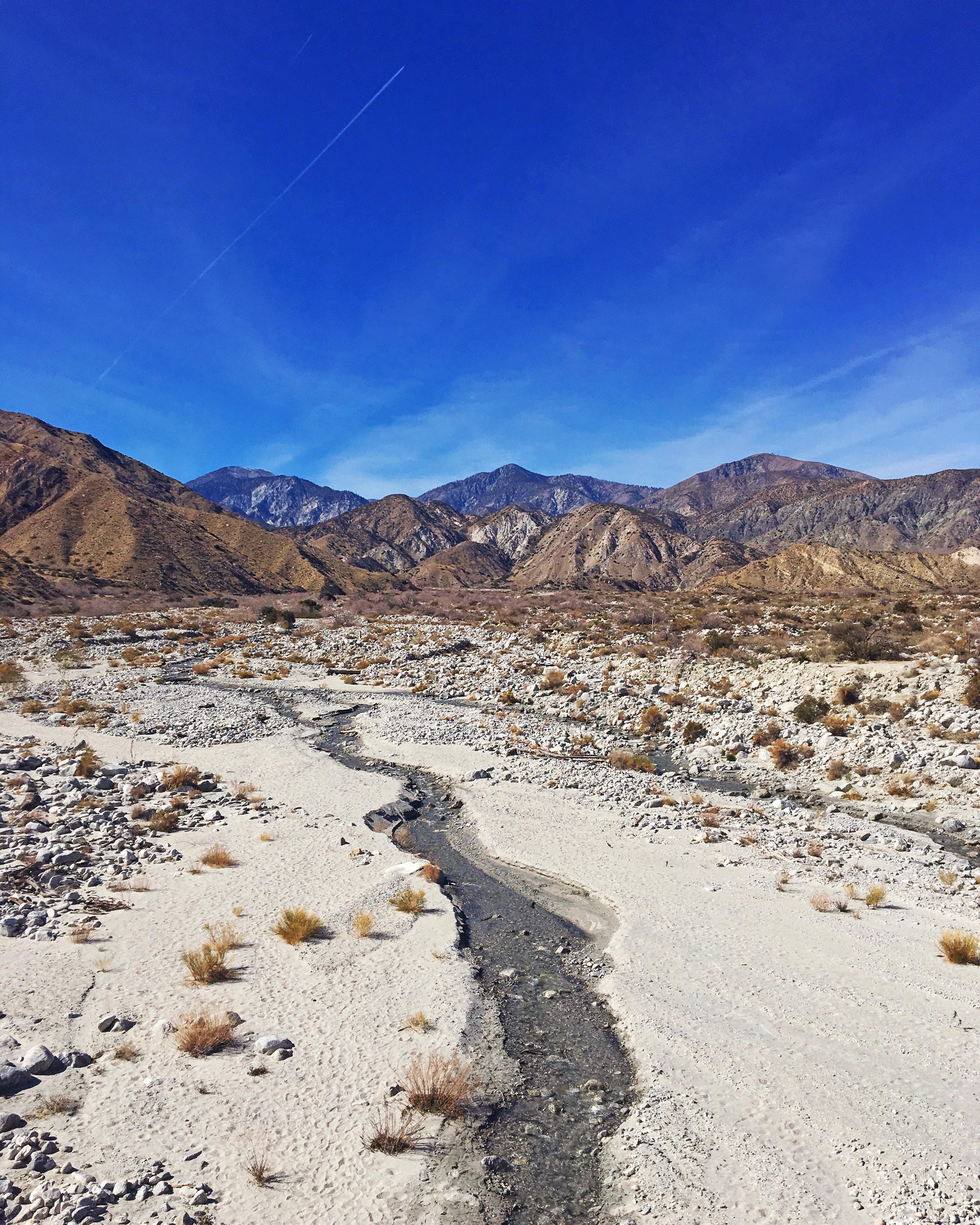 Whitewater Preserve r/socalhiking