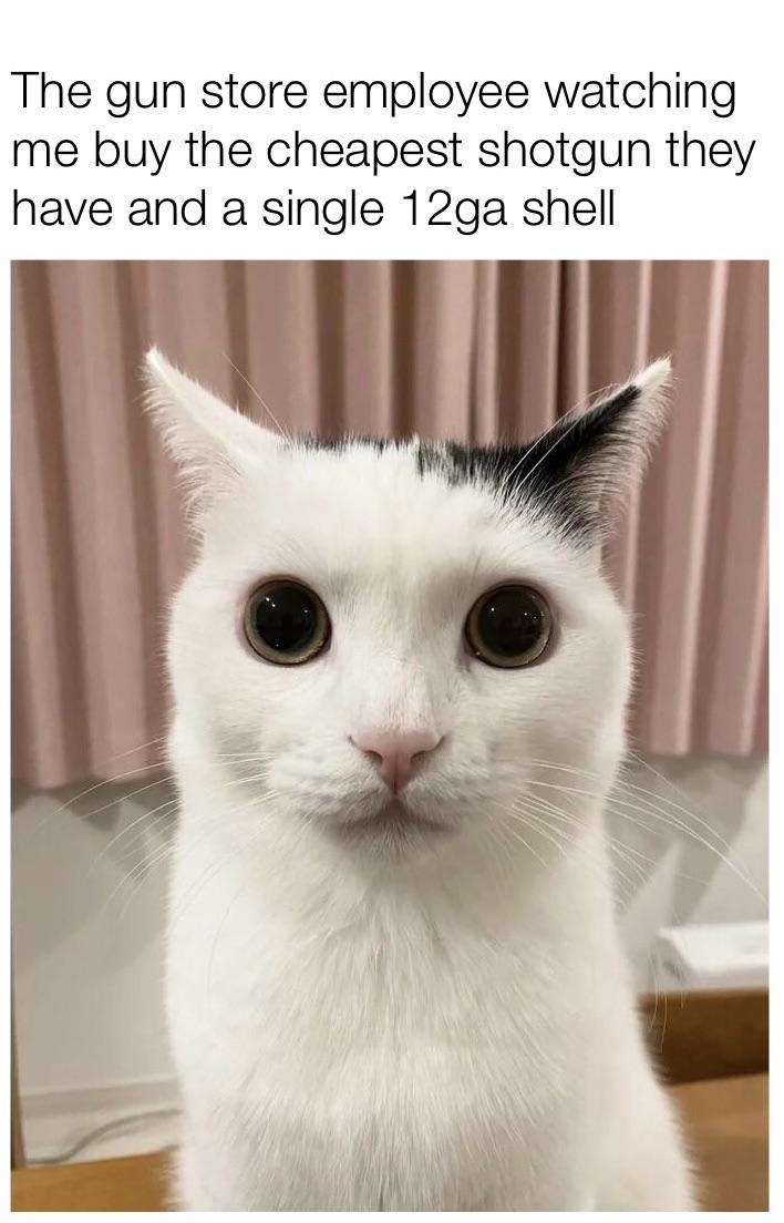 For legal reasons, this is satire r/Memes_Of_The_Dank