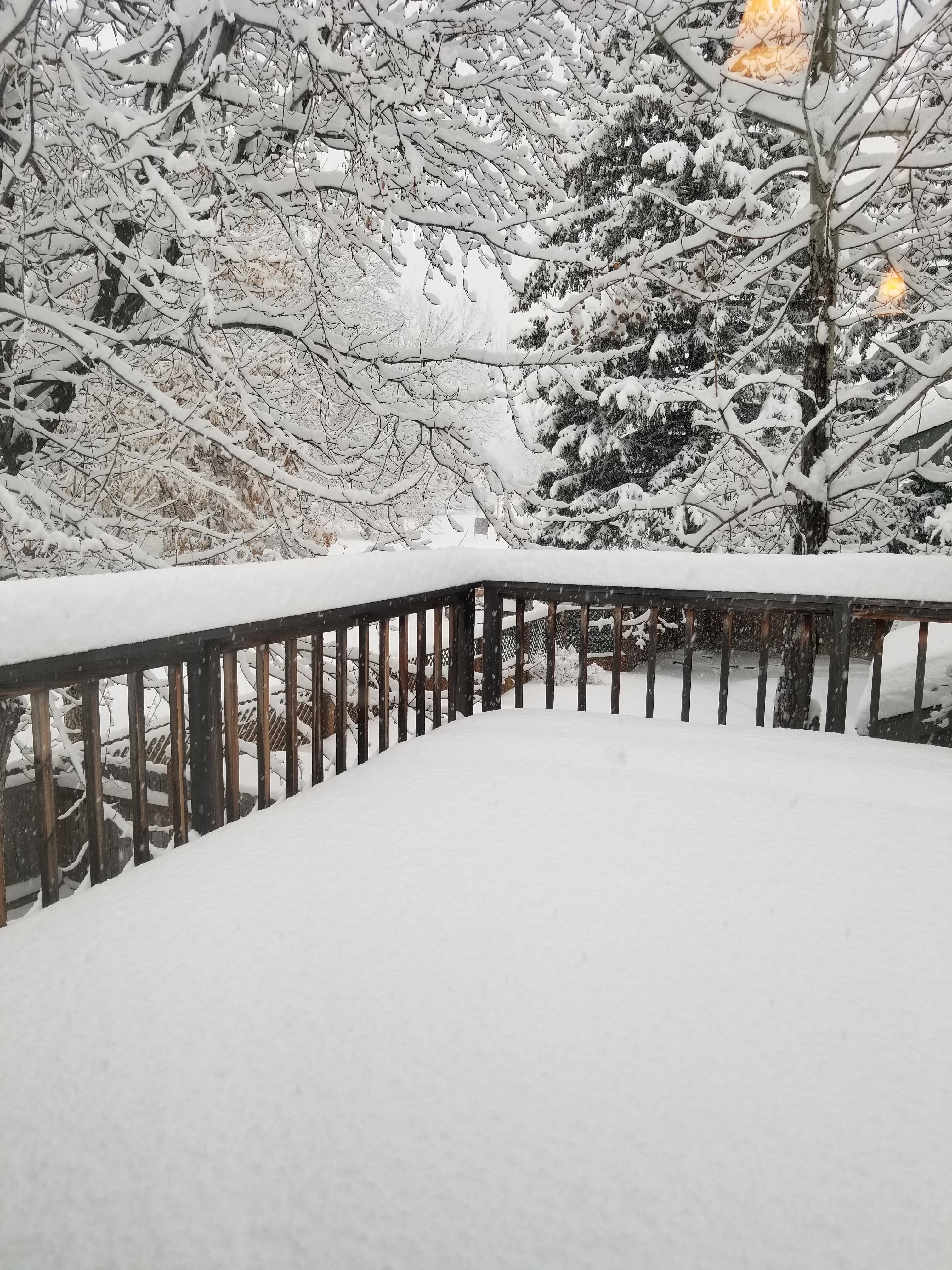 Winter wonderland! Idaho