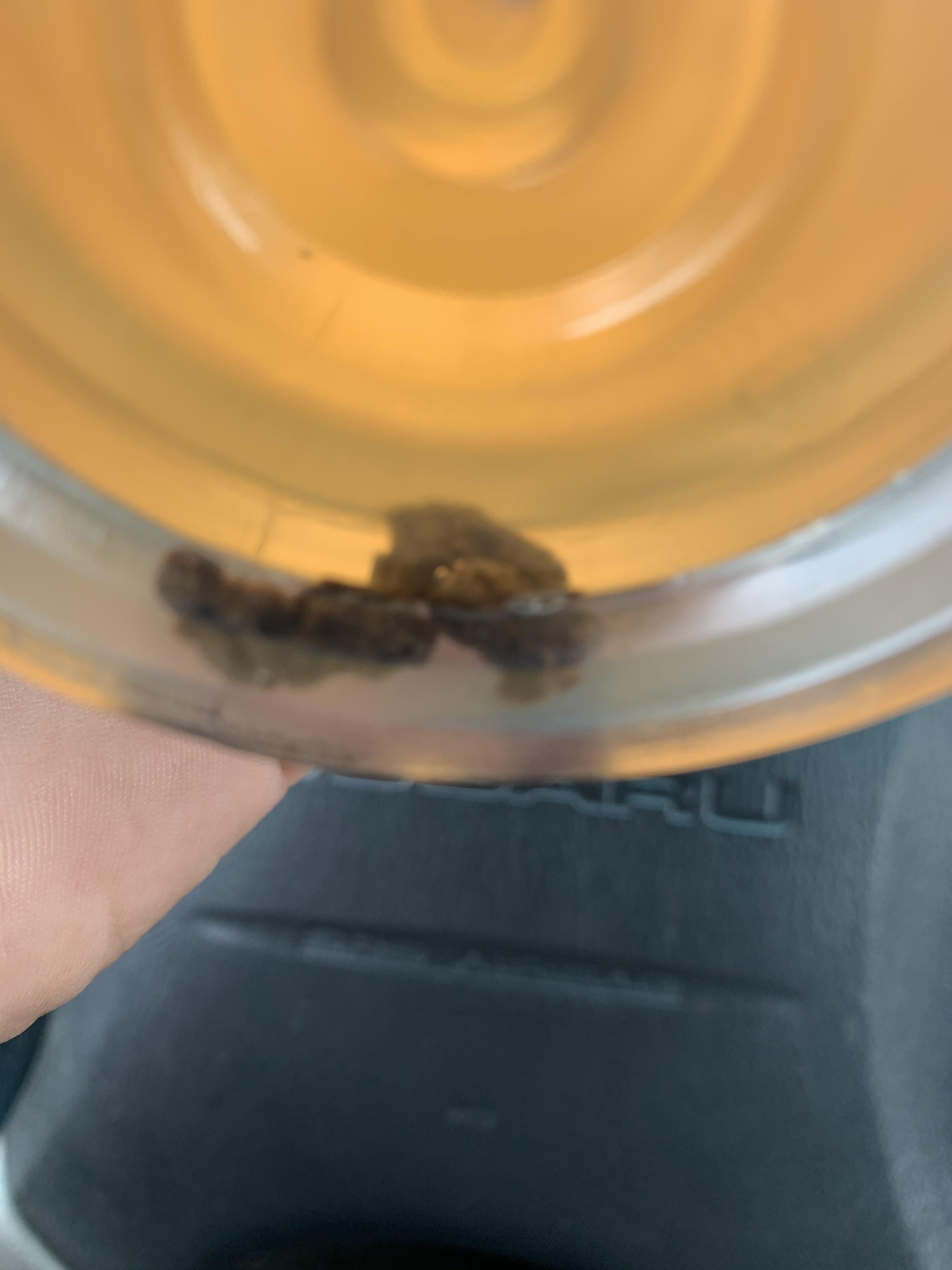 Brown clumps at the bottom and stuck near the opening in an Arizona