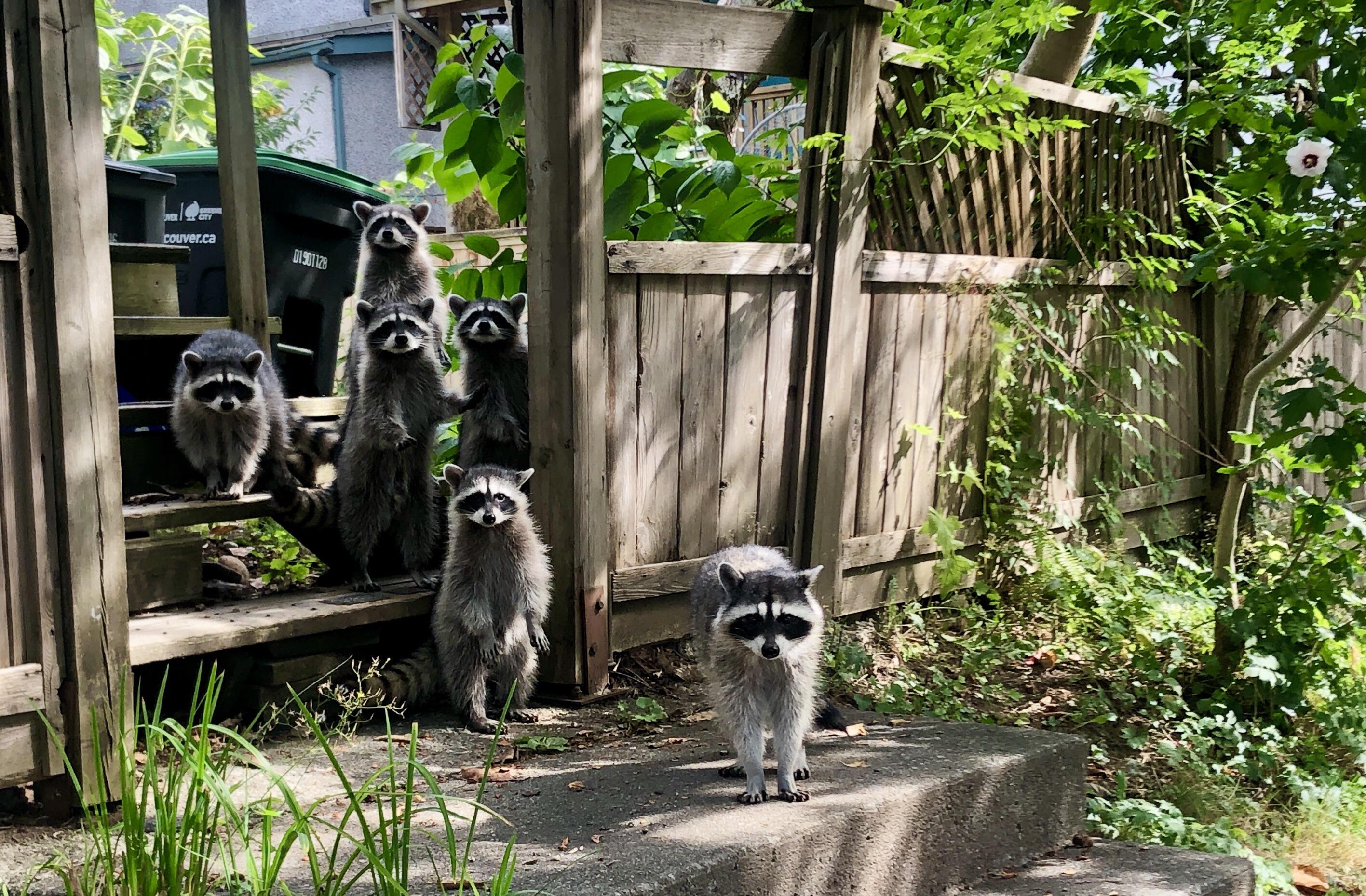 362 best Vans Family images on Pholder Vans, Bourbon and Whiskyporn