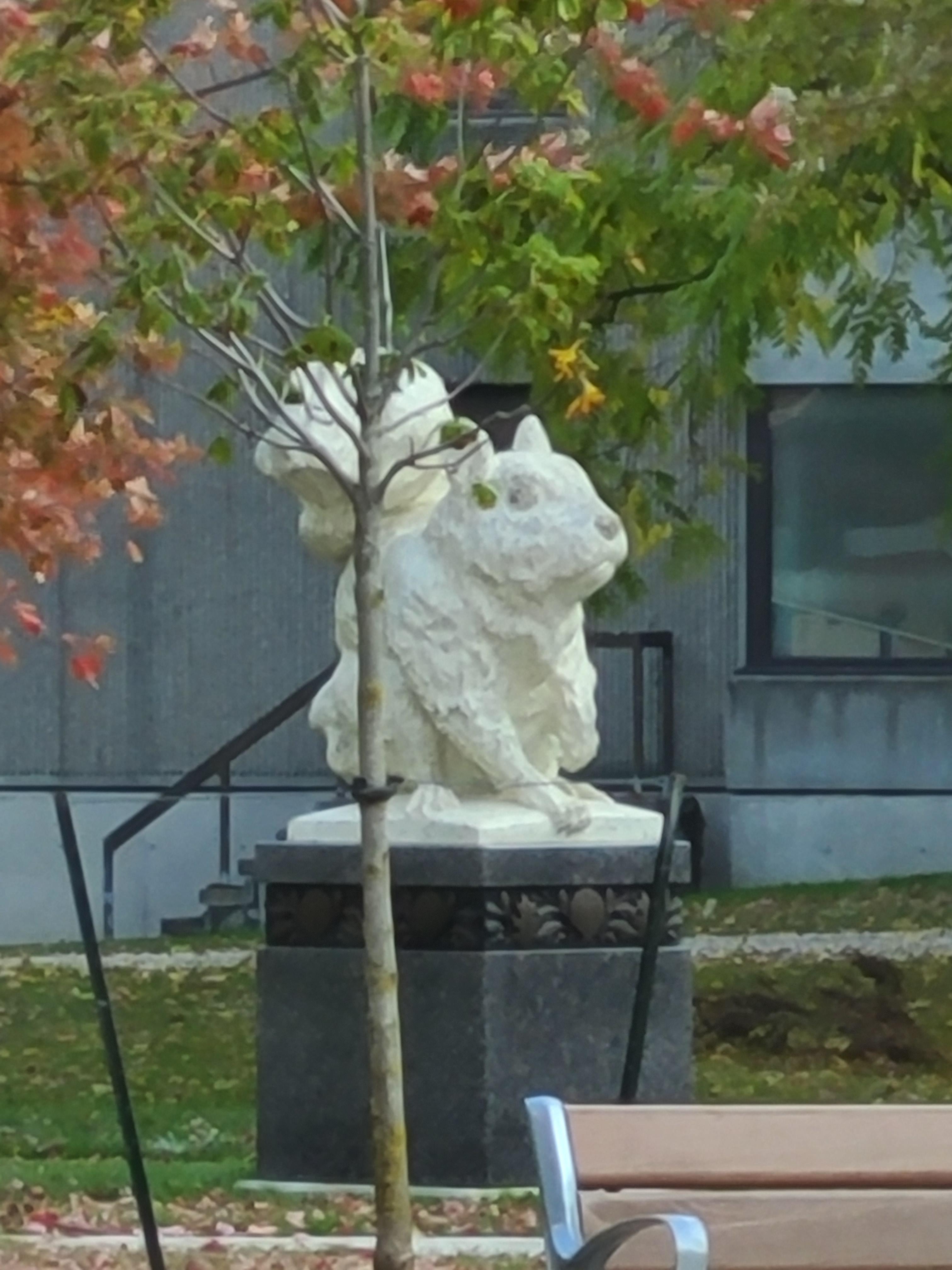 Today is my cake day! So here's a squirrel statue at Ossington and