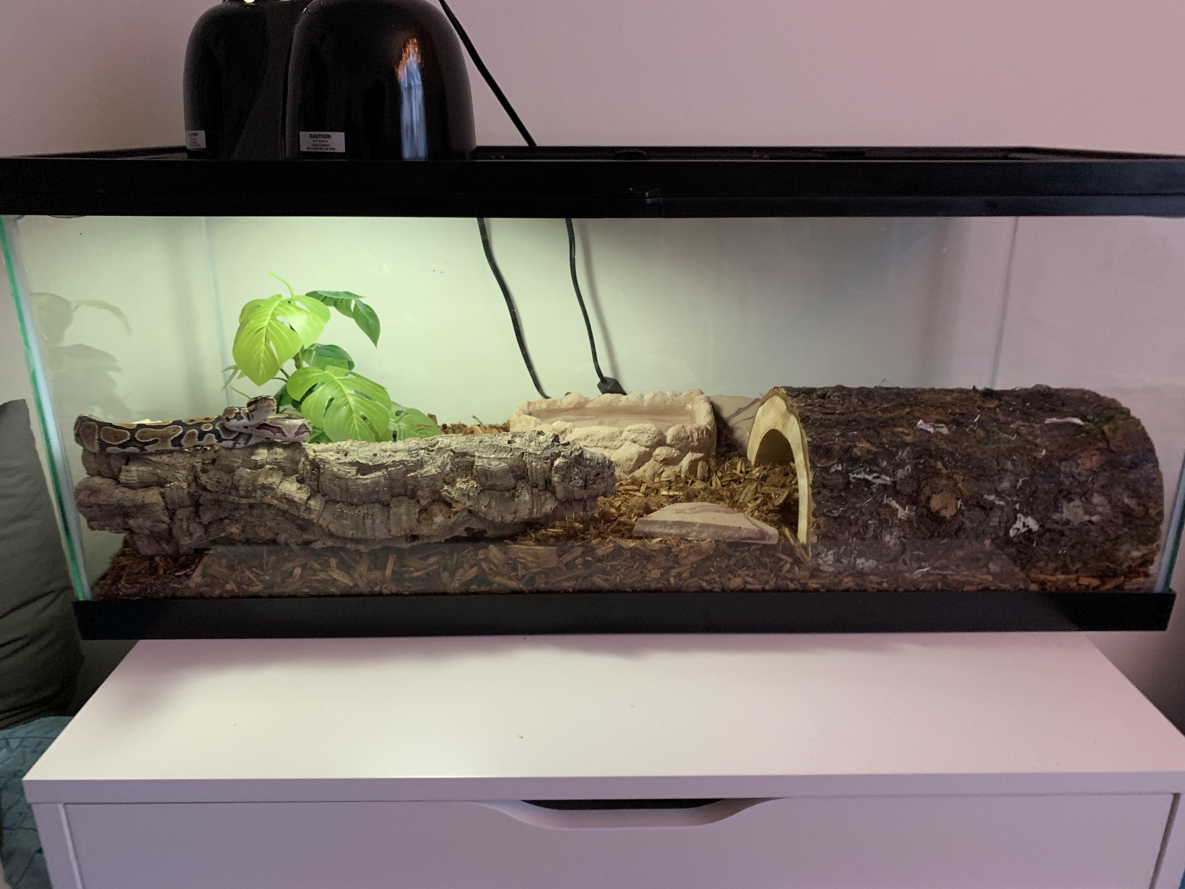 Is this a good ball python cage snakes