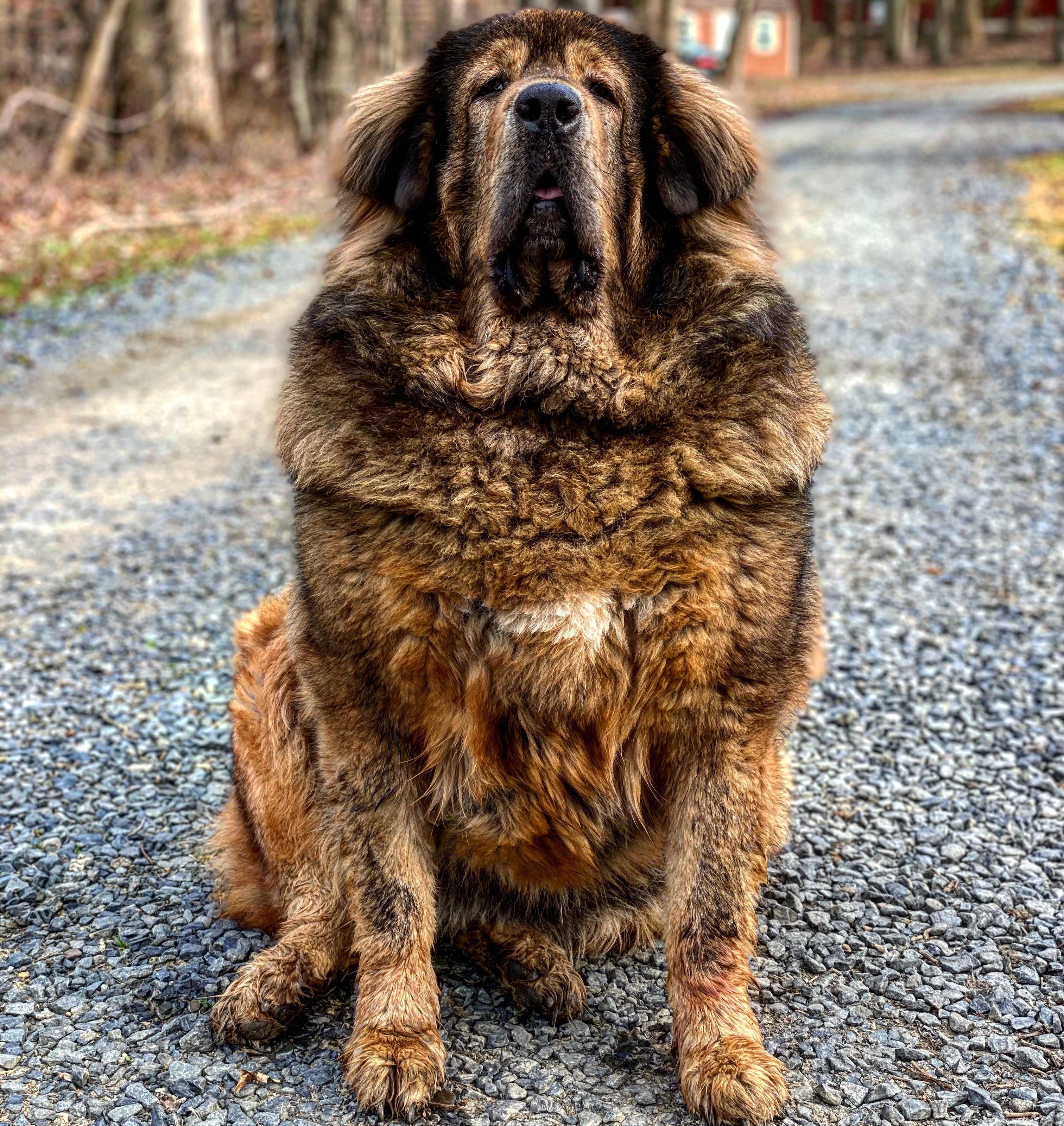 Stella Unit r/AbsoluteUnits