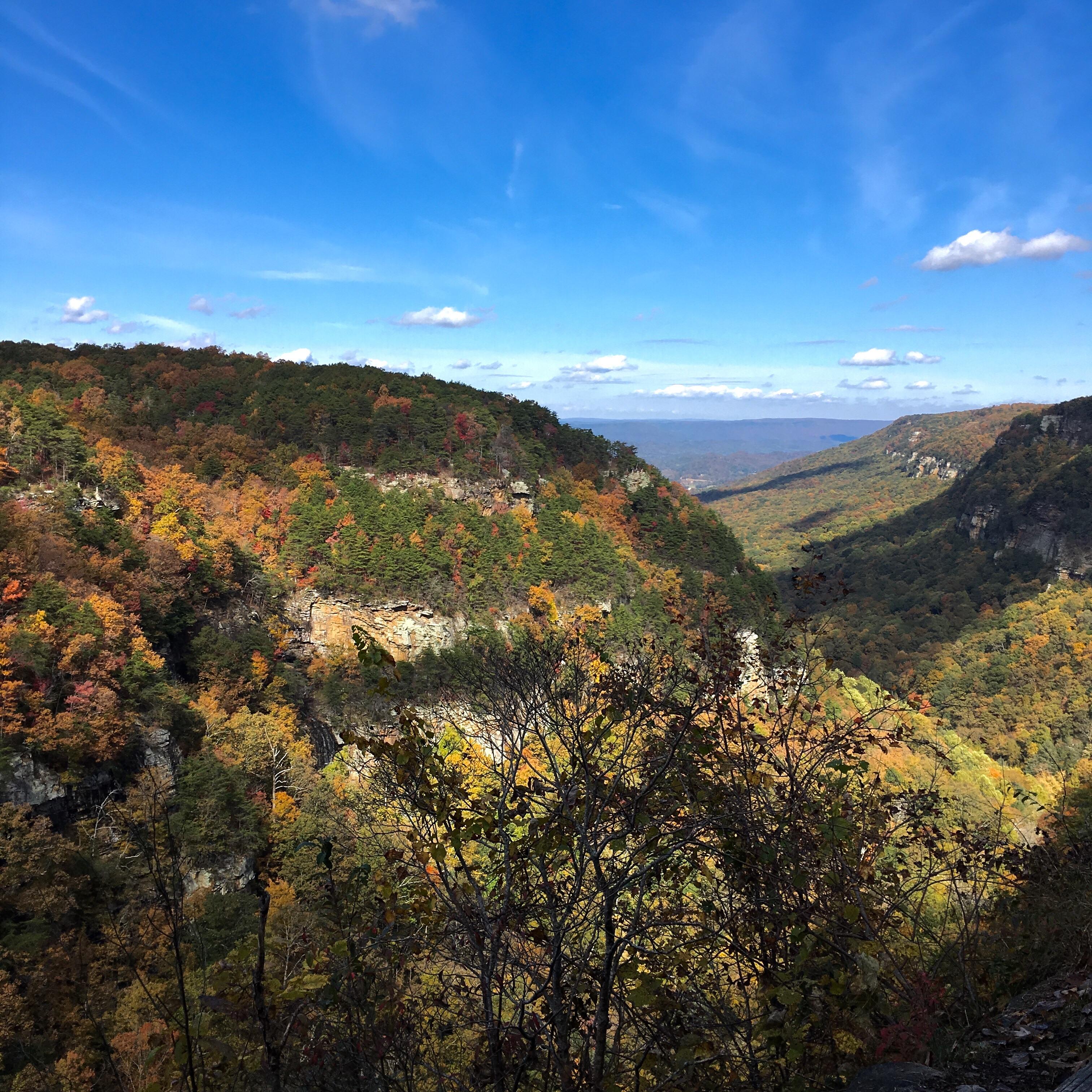 Cloudland Canyon East Rim Overlook, Rising Fawn, GA, USA r/hiking