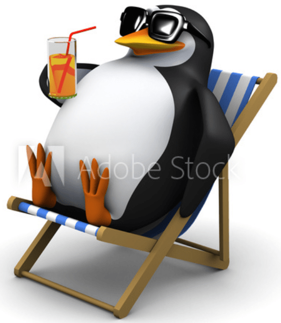 nothing to see here, just a stock image of a penguin relaxing on his