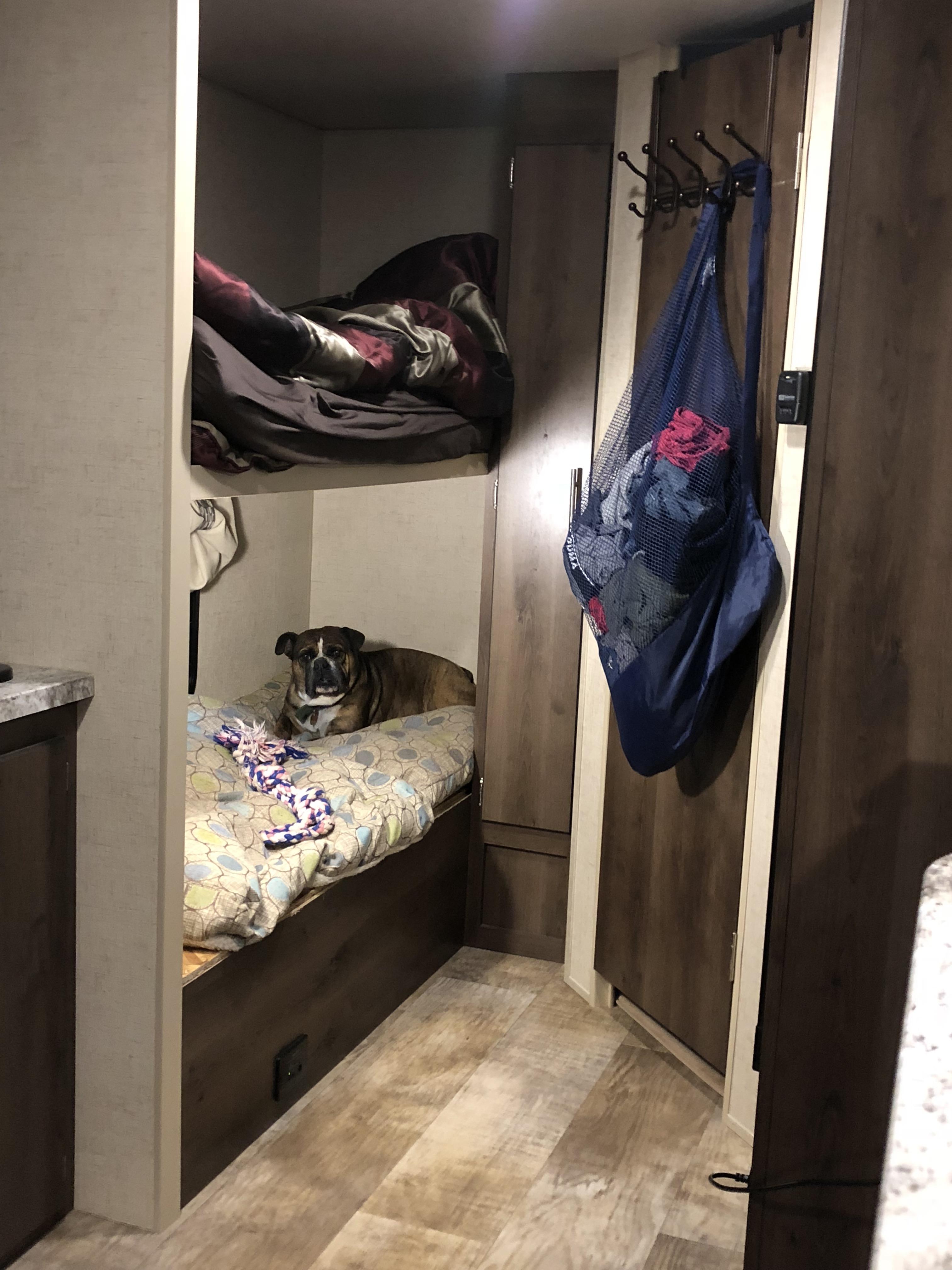 My dog has her own bunk bed in our RV. r/Bulldogs
