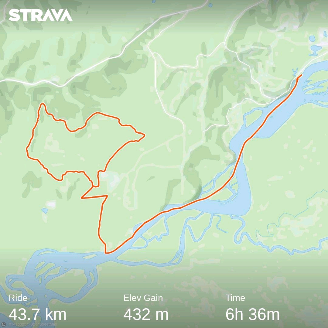 Tanana River Challenge 2021 fatbiked r/Strava