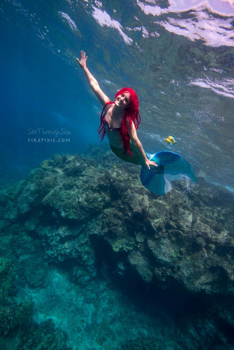 [self] Ariel and Flounder hanging on the reef Photo by See Through