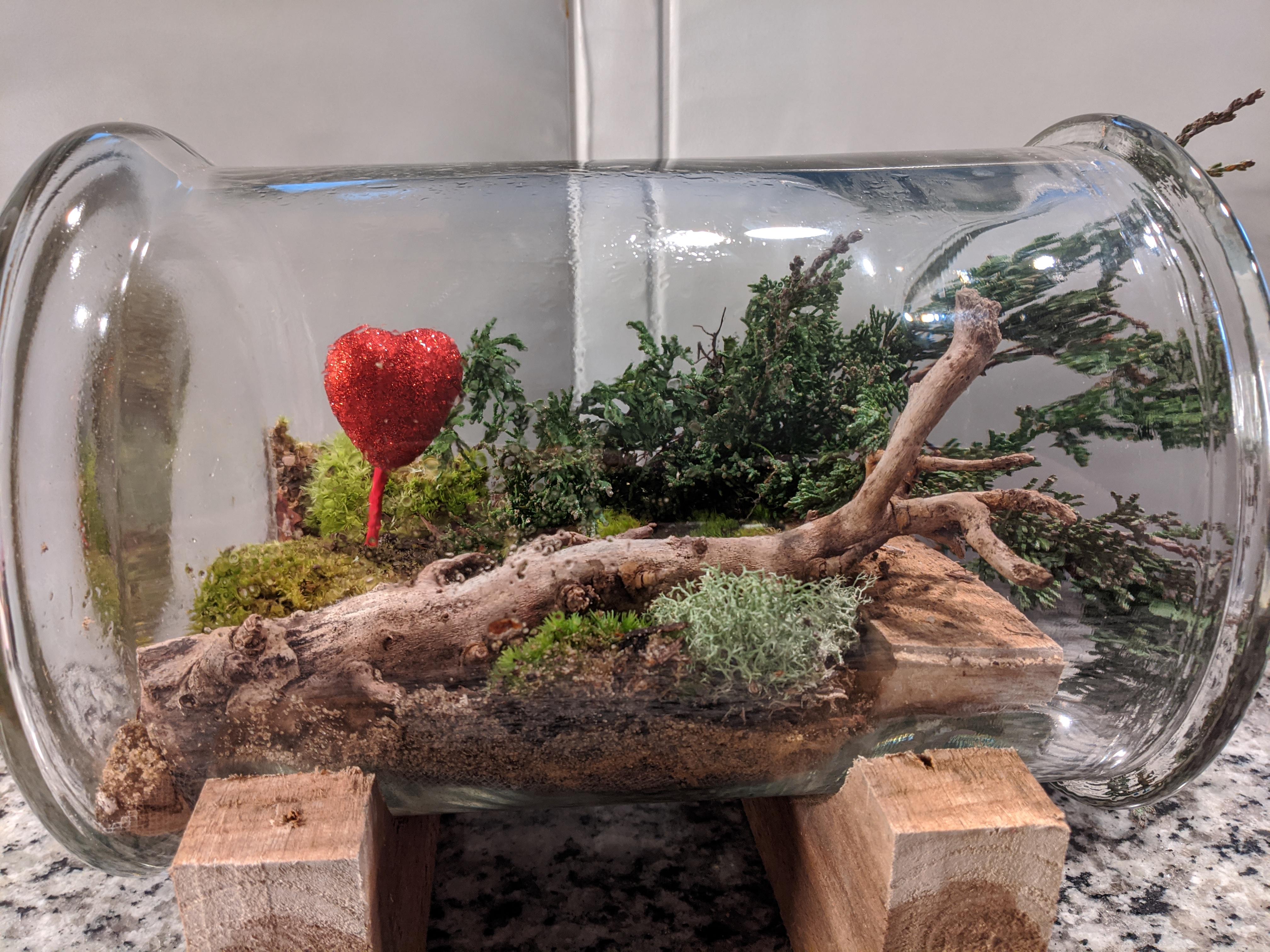 Hobby Lobby had half off glass today, so my girls and I built our first