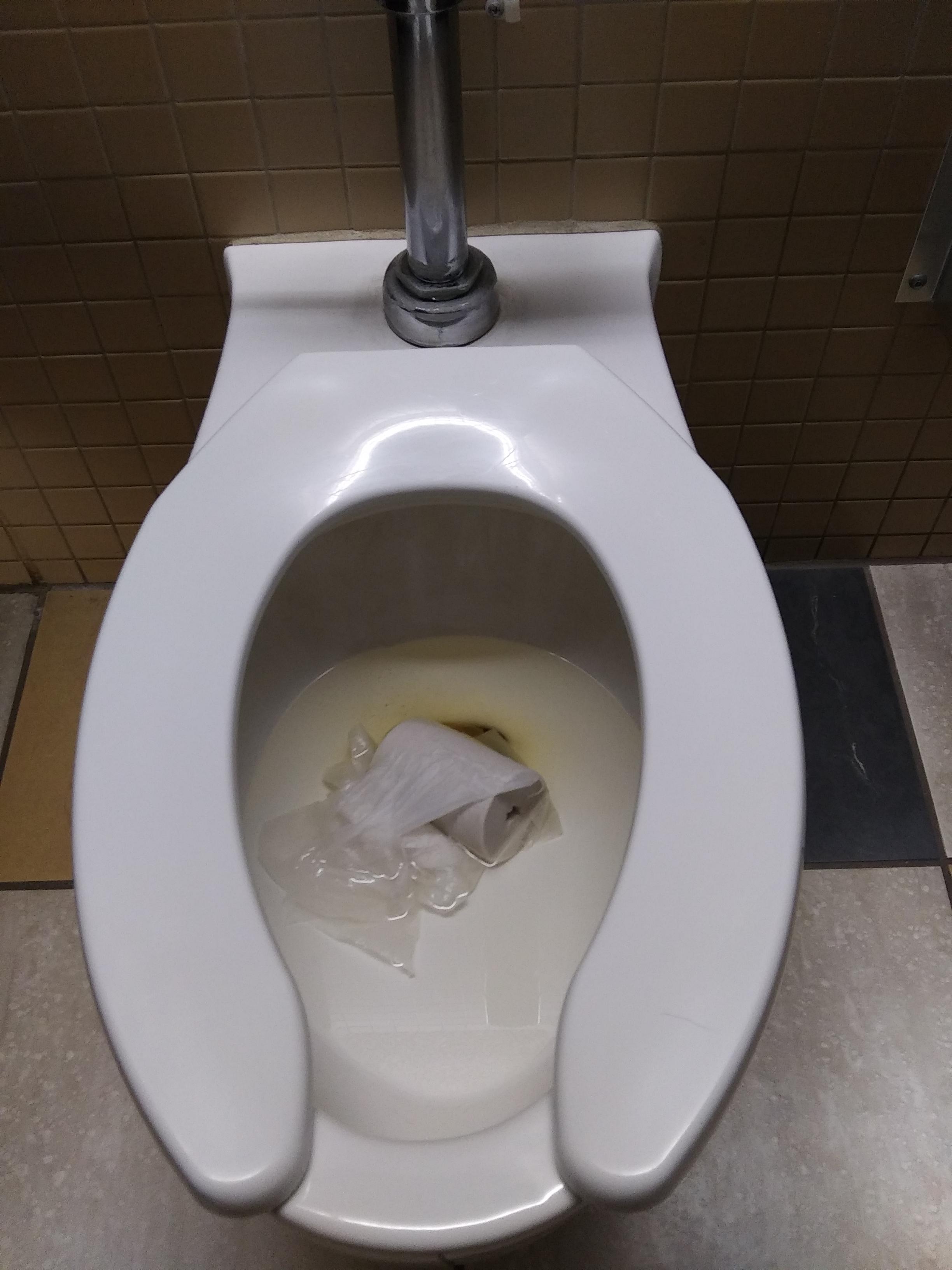 Knocked the loose toilet paper roll into bowl w/elbow right after 2. At work. W/no MOD for