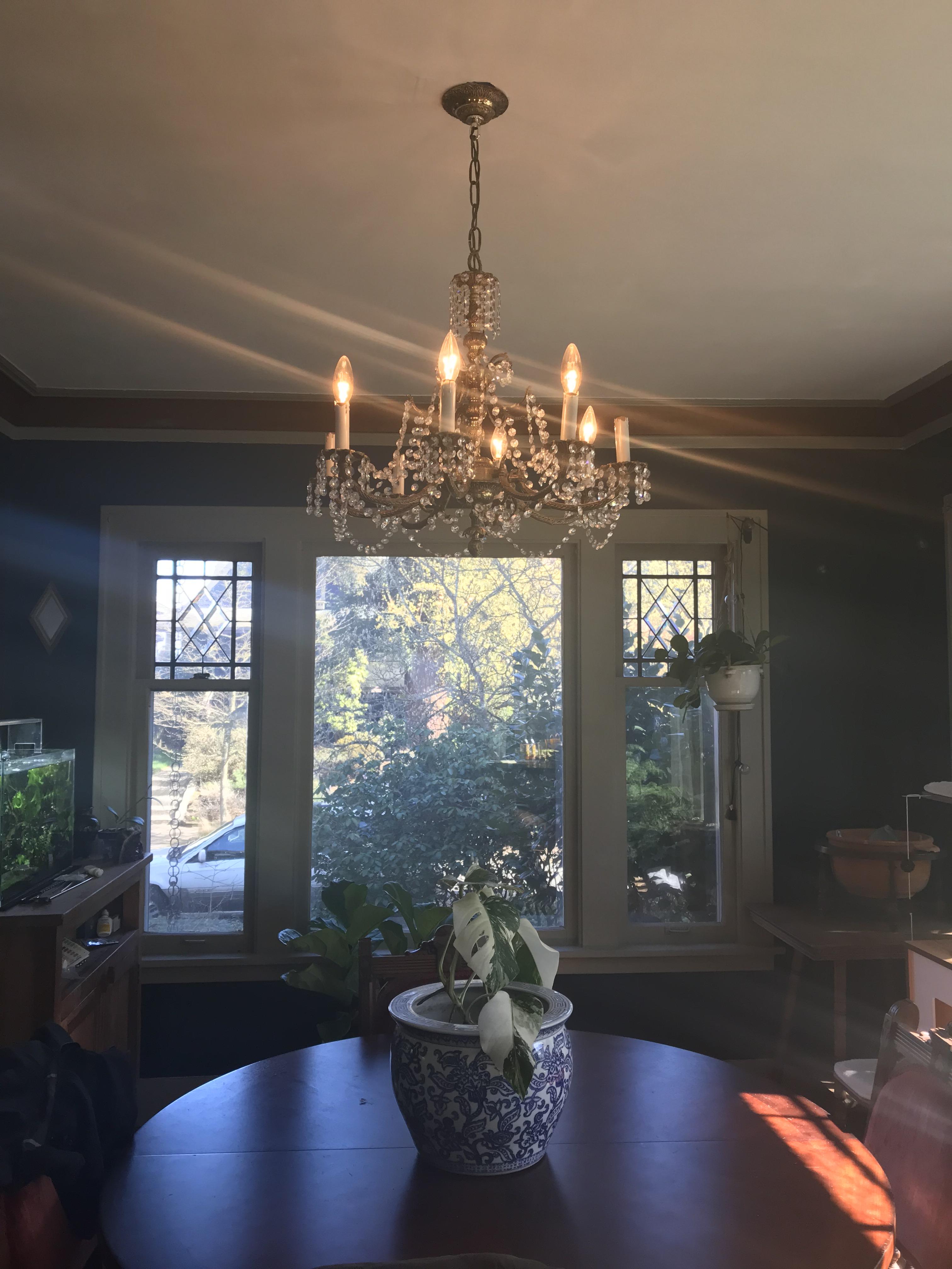 This chandelier from Craigslist r/ThriftStoreHauls