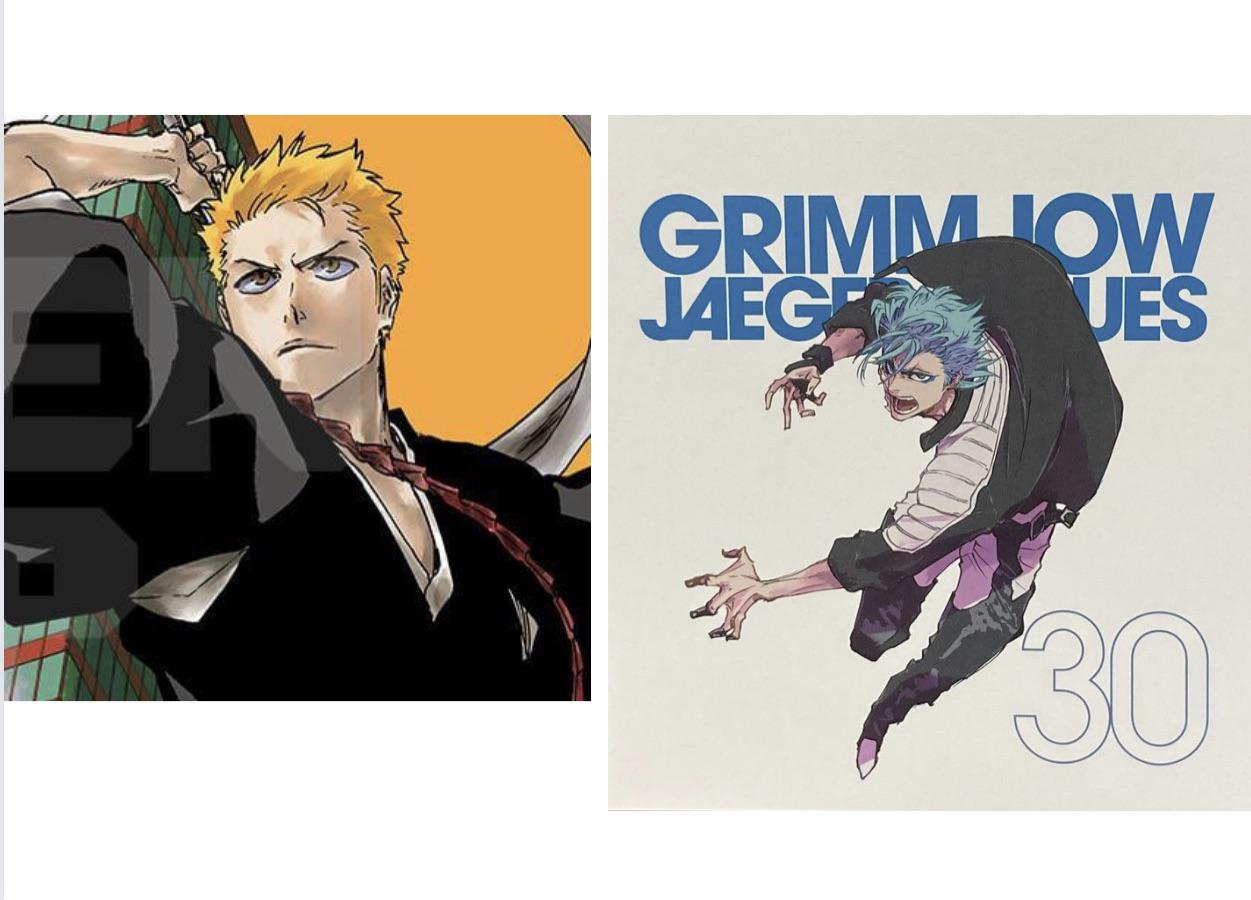 The comparison of Ichigo and Grimmjow after 12 years since the TYBW Arc. r/bleach