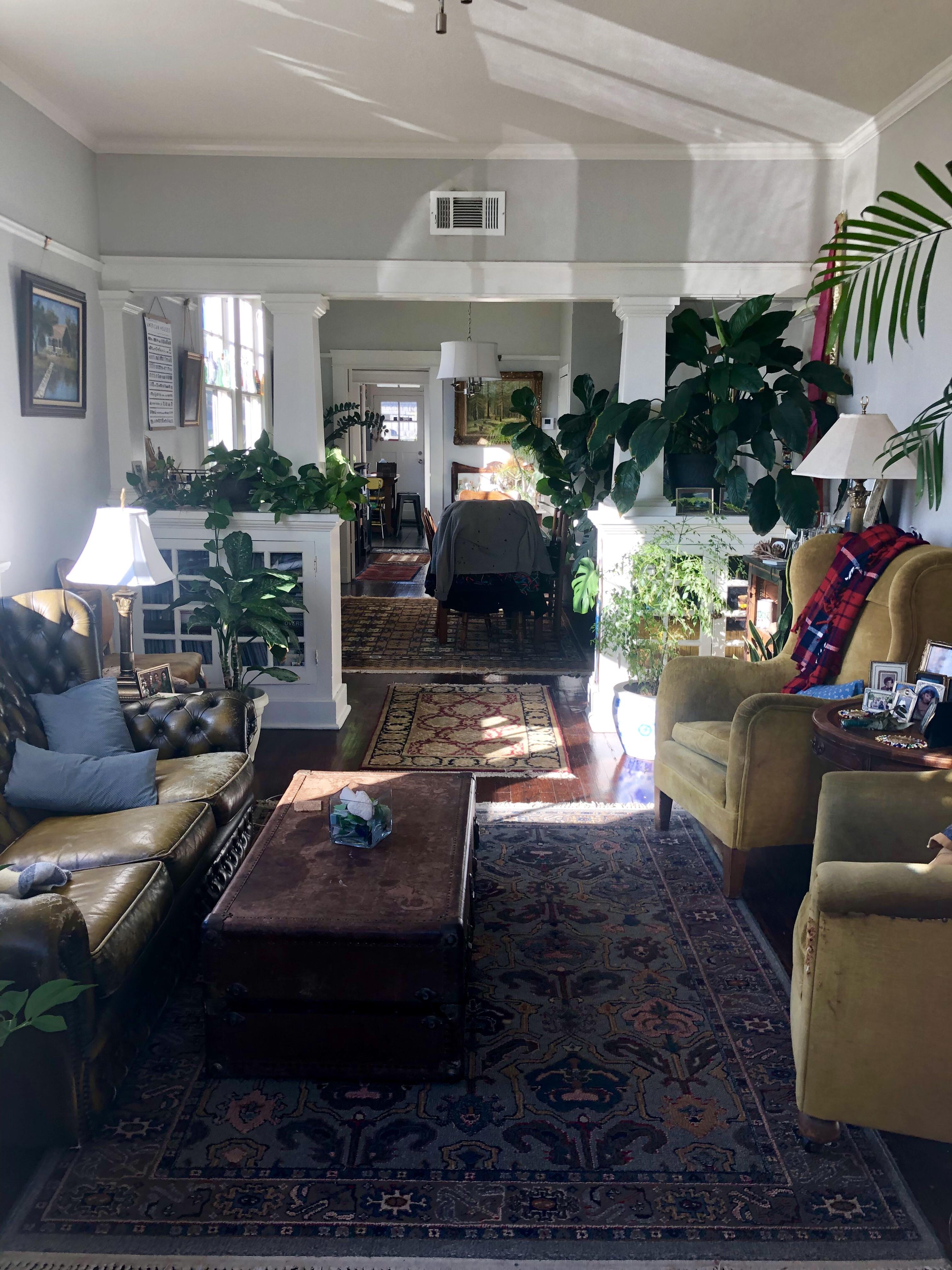 Cozy winter morning in Gentilly, New Orleans r/CozyPlaces